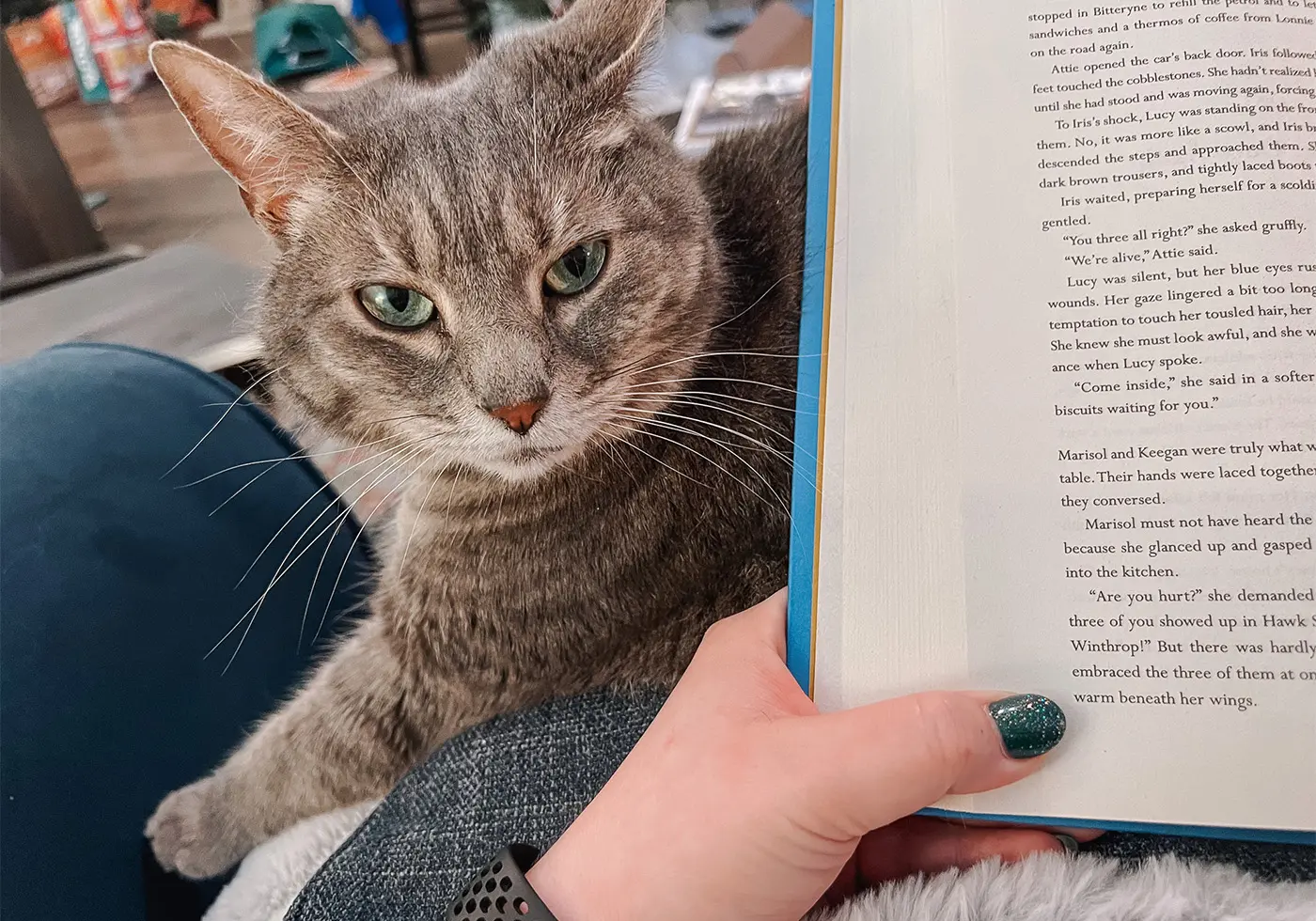January Reading Journal - Cats & Coffee January Reading Journal