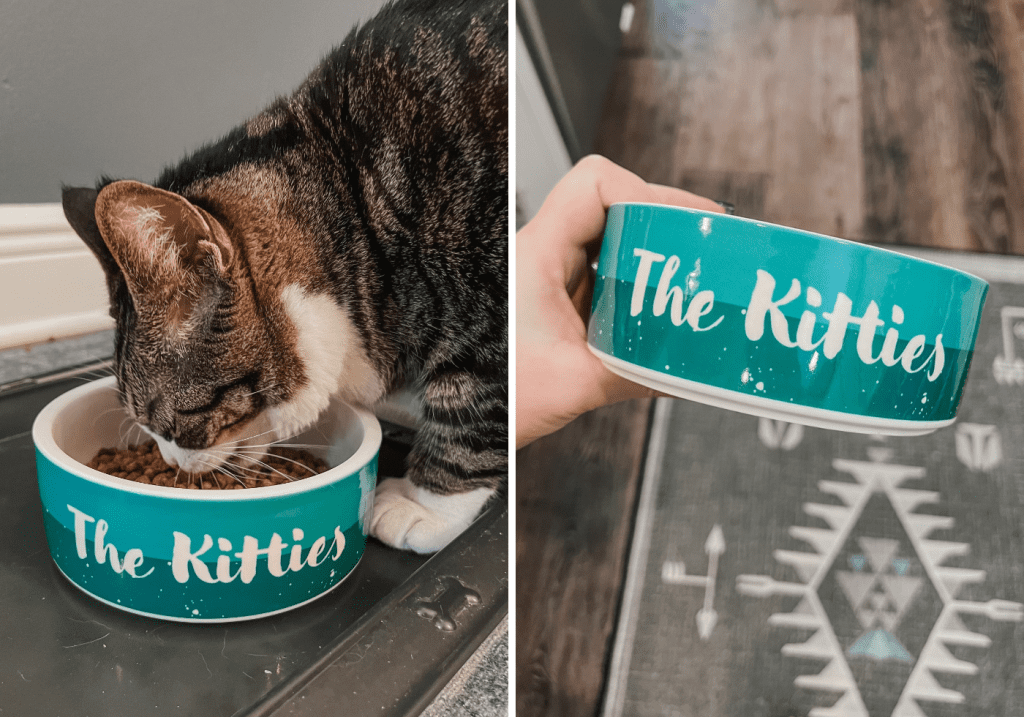 Cute Cat Bowls - Cat Mom Life 2 - Cats & Coffee Cute Cat Bowls - Cat Mom Life