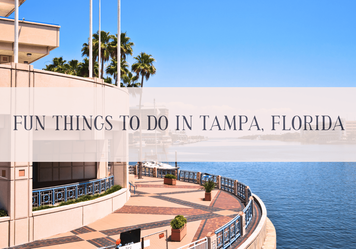 Fun things to do in Tampa Florida-min - Cats & Coffee Fun things to do in Tampa Florida