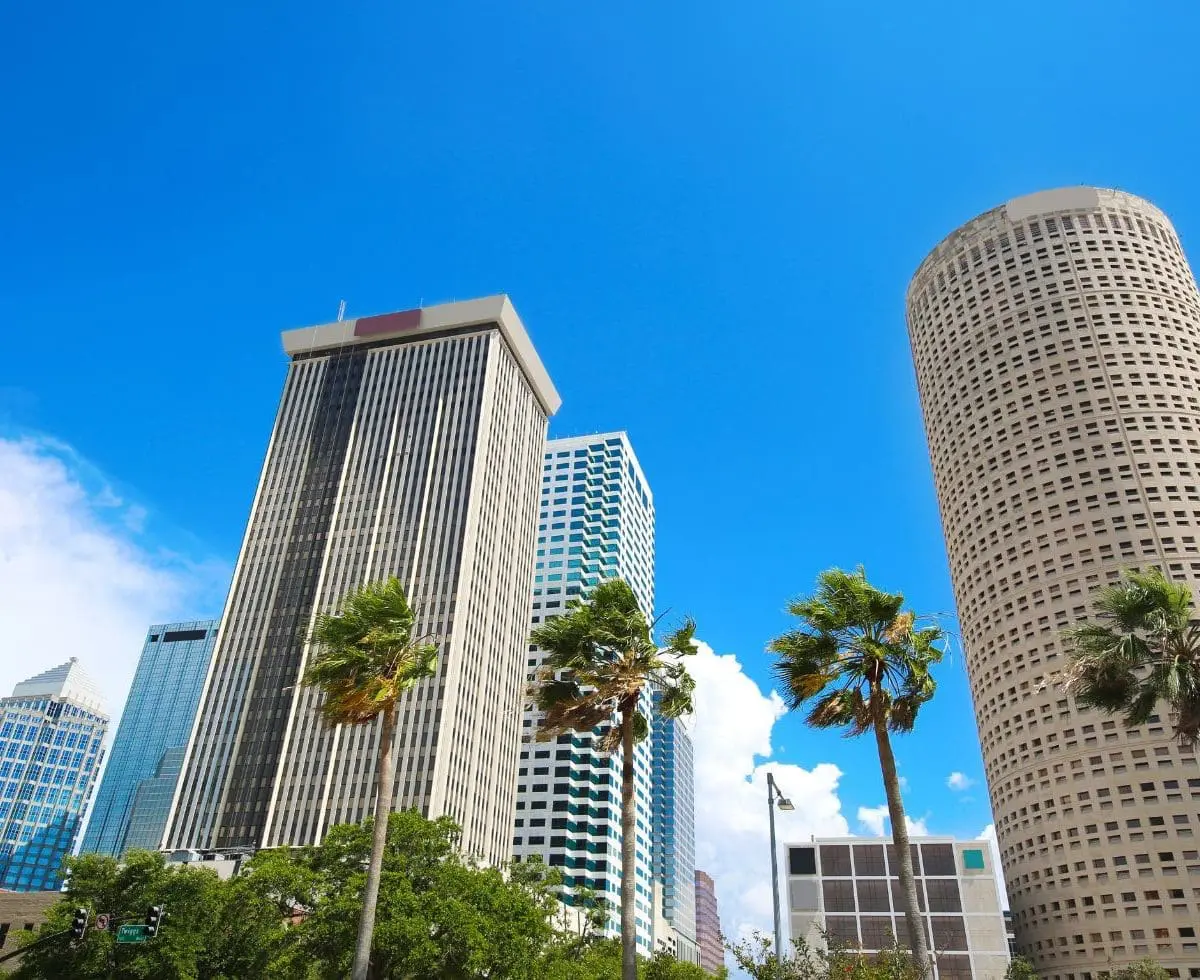 Great Places to Stay in Tampa Florida 6 - Cats & Coffee Great Places to Stay in Tampa Florida