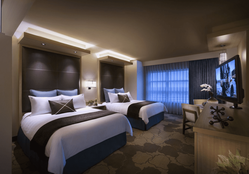 Seminole Hard Rock Hotel Casino Tampa 2 - Cats & Coffee Seminole Hard Rock Hotel Casino Tampa