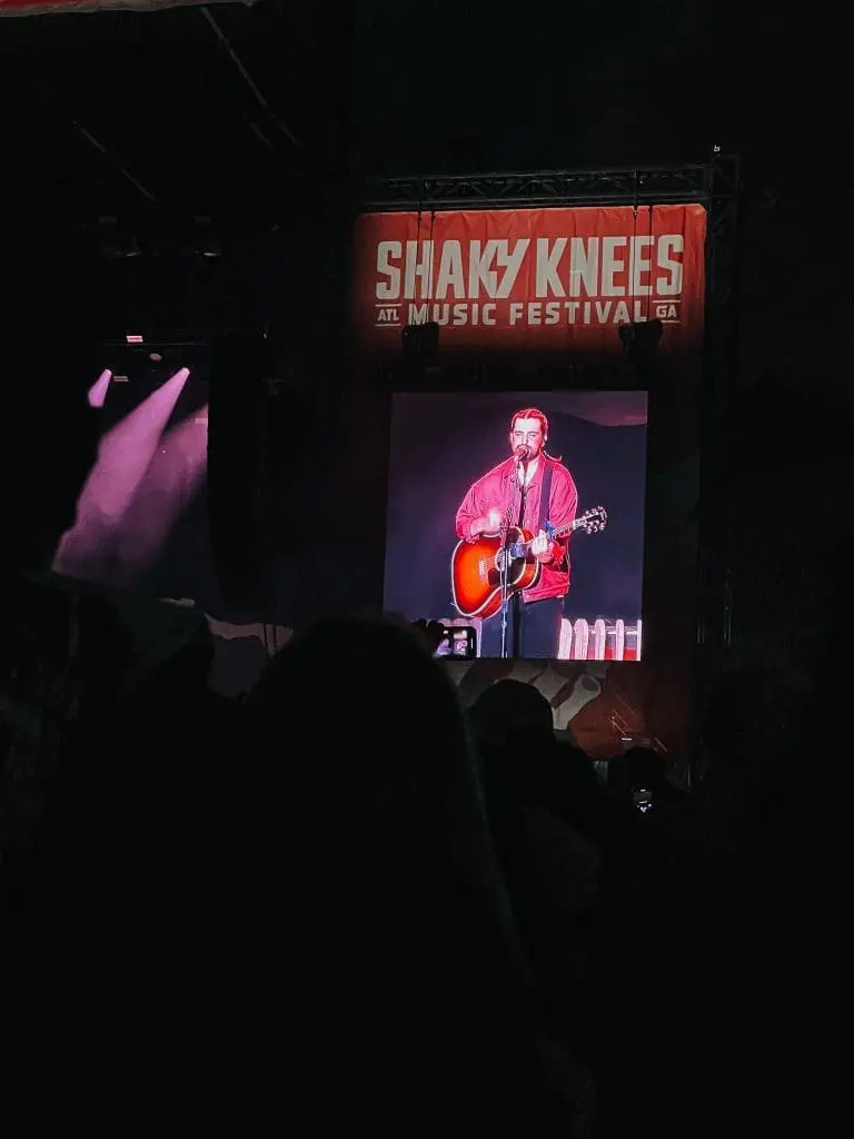 The Shaky Knees Music Festival in Atlanta Georgia 8 - Cats & Coffee