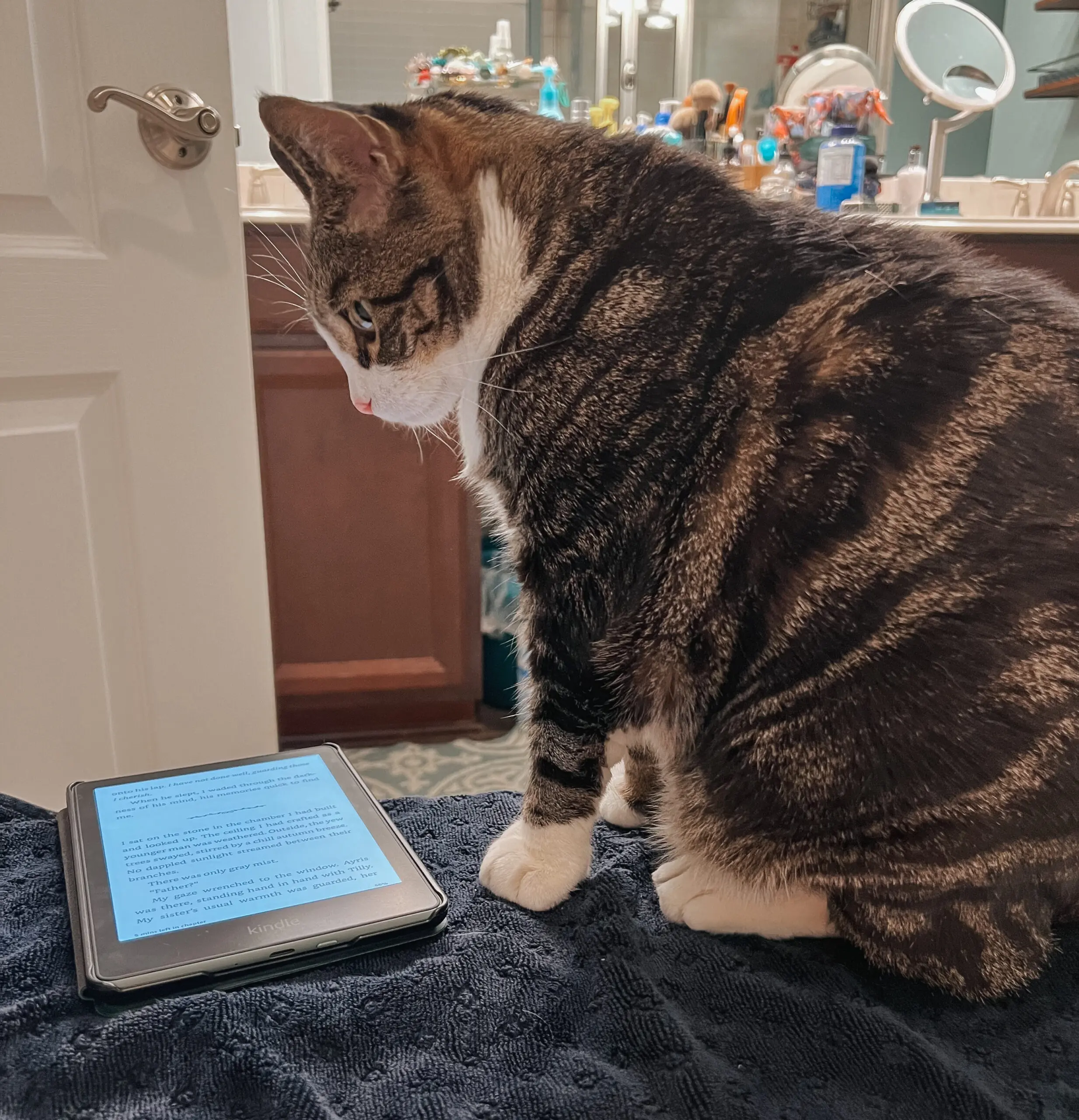 Kindle - Cats & Coffee Amazon Kindle Paperwhite Review