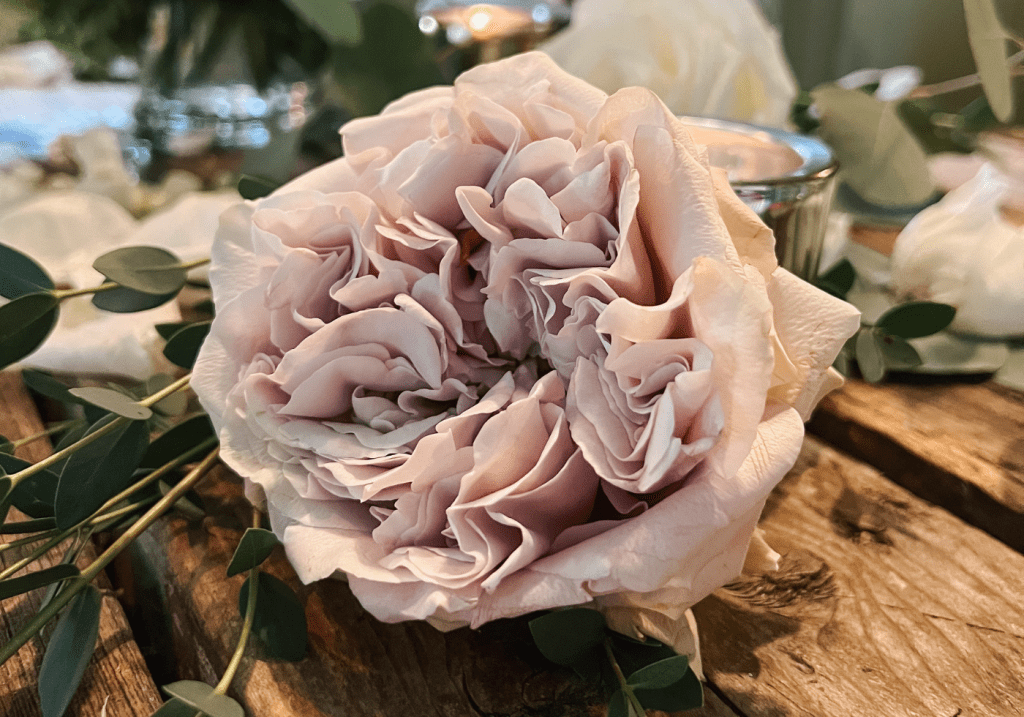 Wedding Flowers CPs 1 - Cats & Coffee Earl Grey Rose - Beautiful Wedding Flowers Ideas for a Romantic Wedding Theme