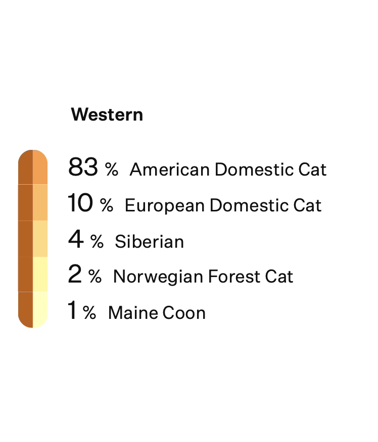 Emory Breeds - Cats & Coffee Emory's Breed Results from Royal Canin's Genetic Health Analysis Kit