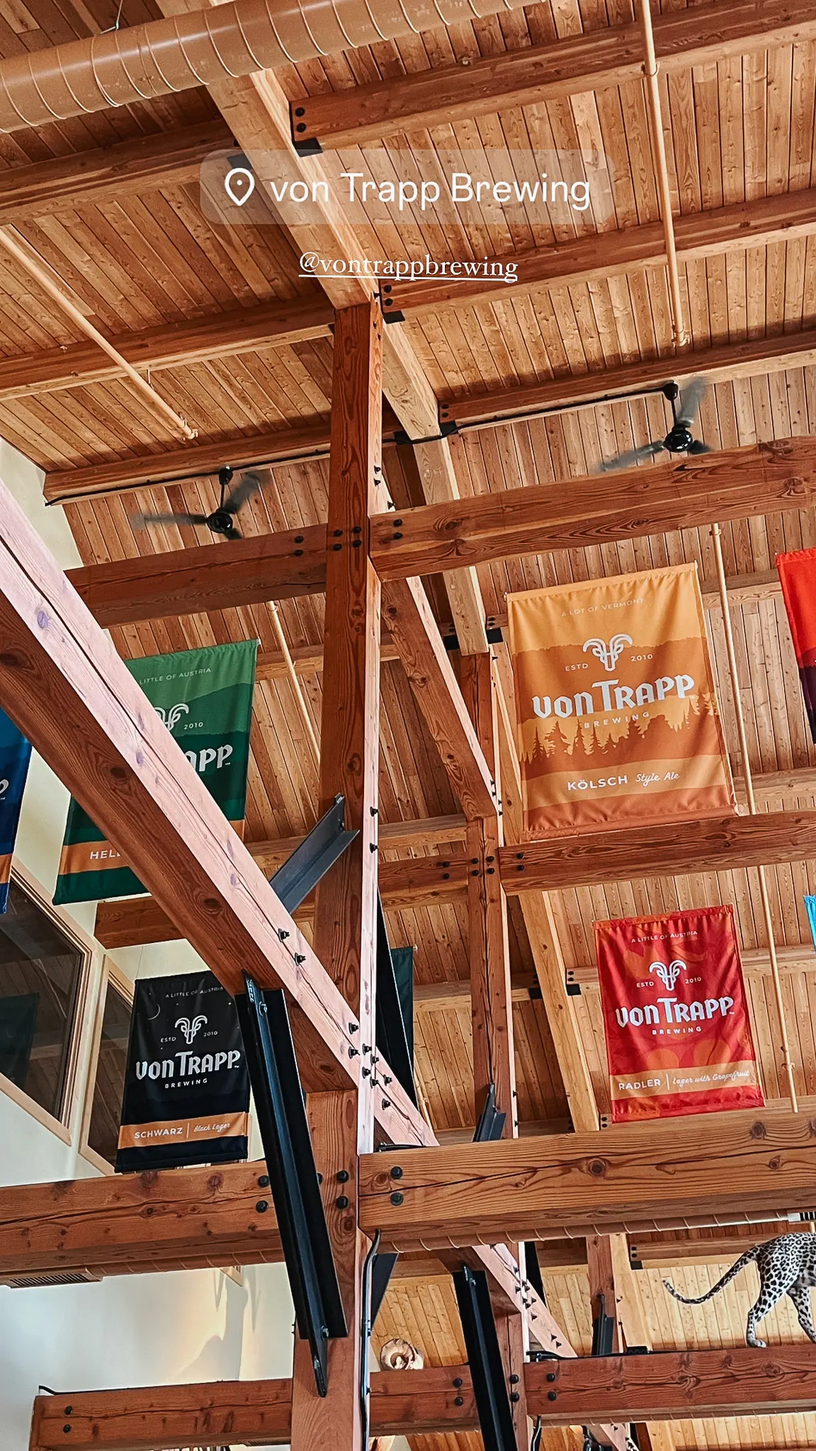F602F32F-AADD-4543-9748-B08F5D6B367B - Cats & Coffee Von Trapp Brewing, a must-visit craft brewery in Stowe