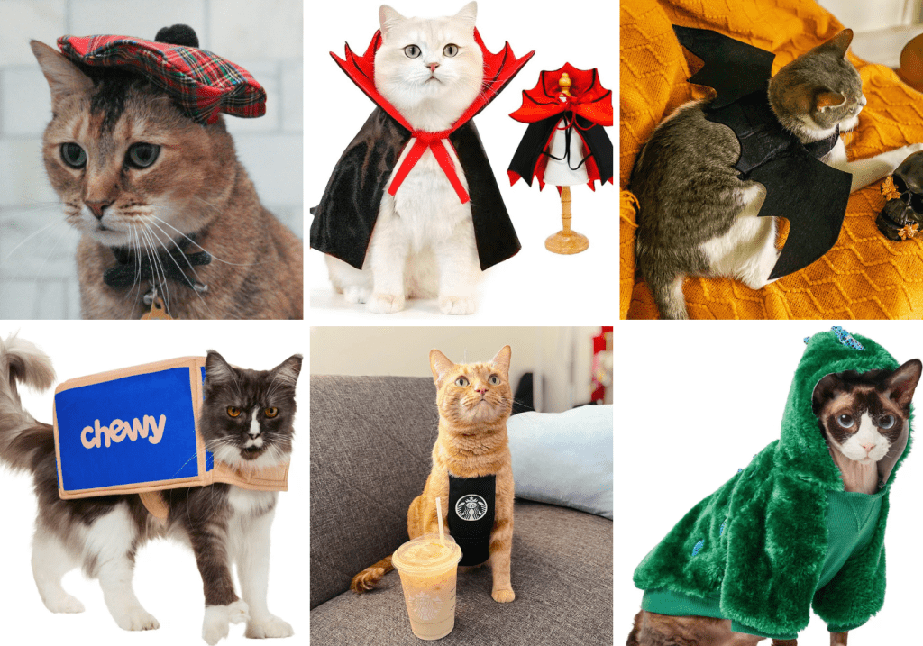 Halloween Costumes for Pets 2 - Cats & Coffee Halloween Costumes for Pets