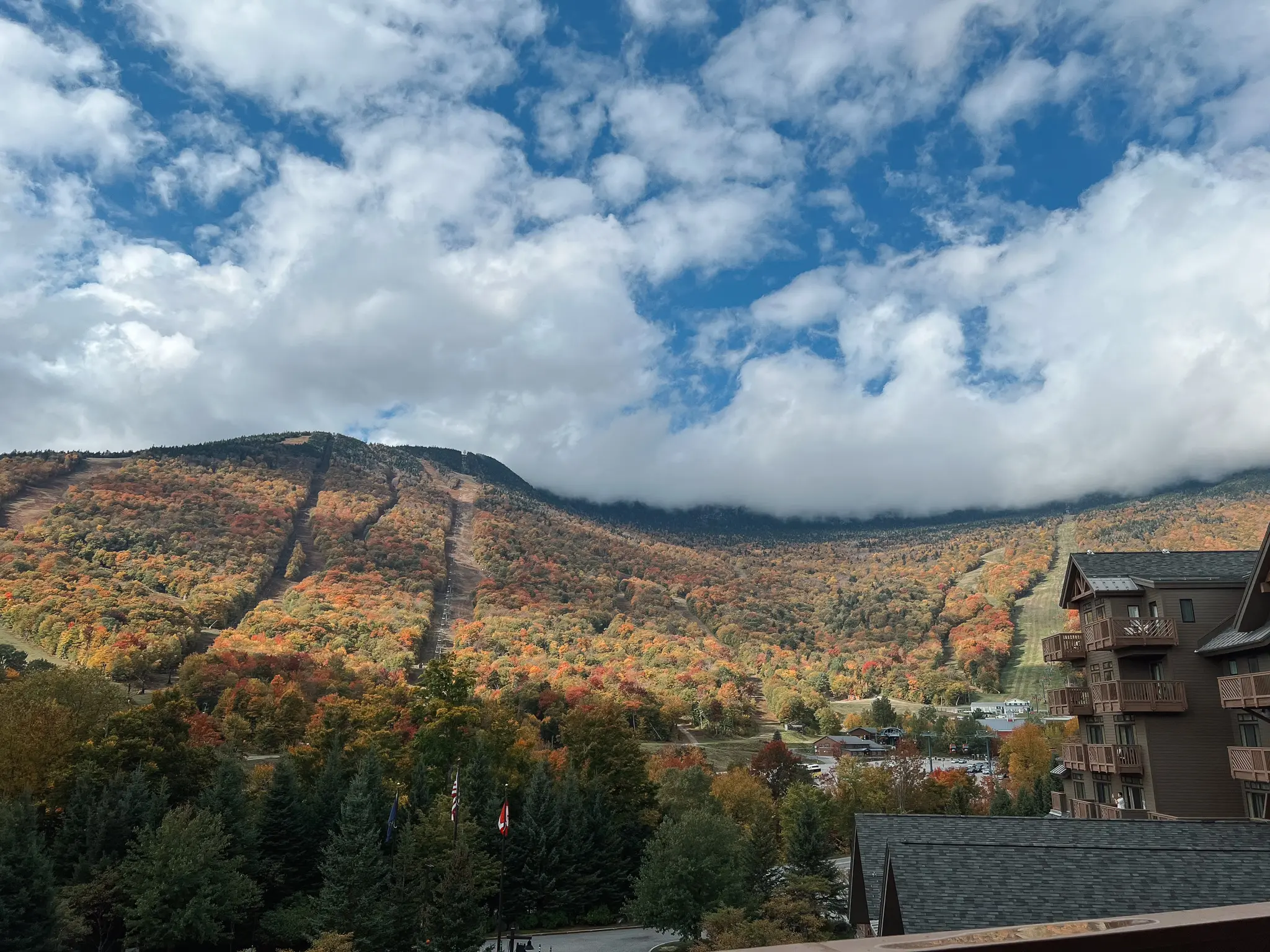 Lodge at Spruce Peak 5 - Cats & Coffee