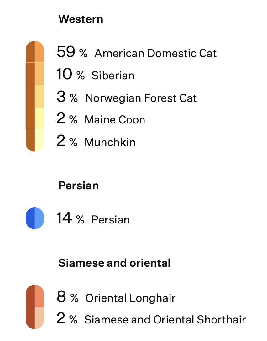 Louis Breeds - Cats & Coffee Louis' Breed Results from Royal Canin's Genetic Health Analysis Kit