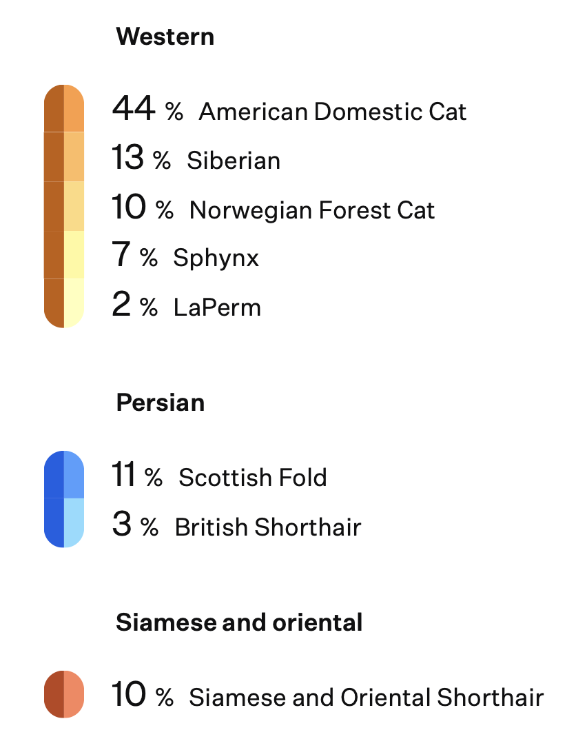 Olivia Breeds - Cats & Coffee Olivia' Breed Results from Royal Canin's Genetic Health Analysis Kit