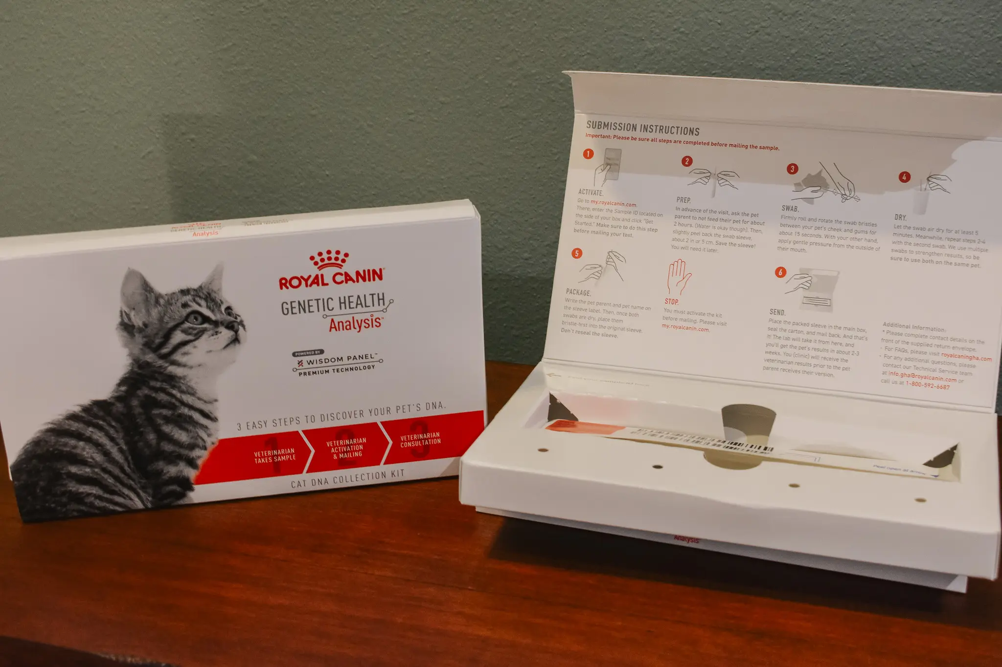 Royal Canins Genetic Health Analysis Kit for Cats 3 - Cats & Coffee Royal Canin’s Genetic Health Analysis Kit for Cats