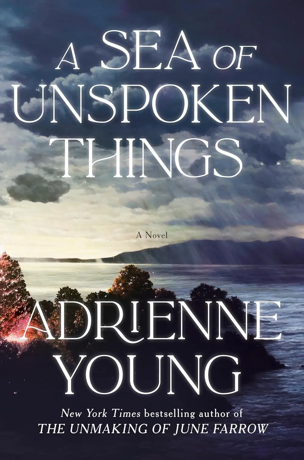 A Sea of Unspoken Things - Cats & Coffee A Sea of Unspoken Things by Adrienne Young