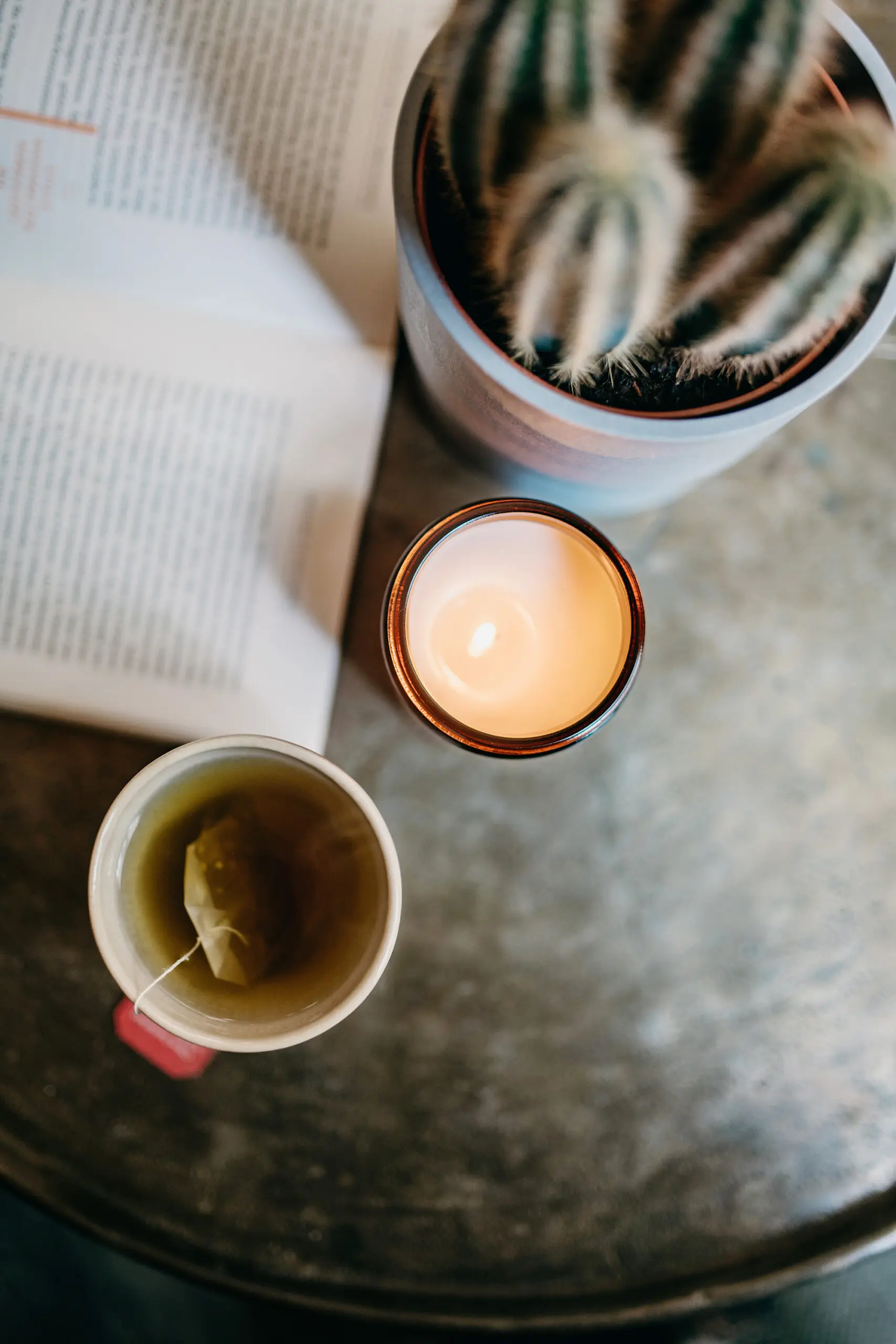 Bookish Candles for Readers - Cats & Coffee Bookish Candles for Readers