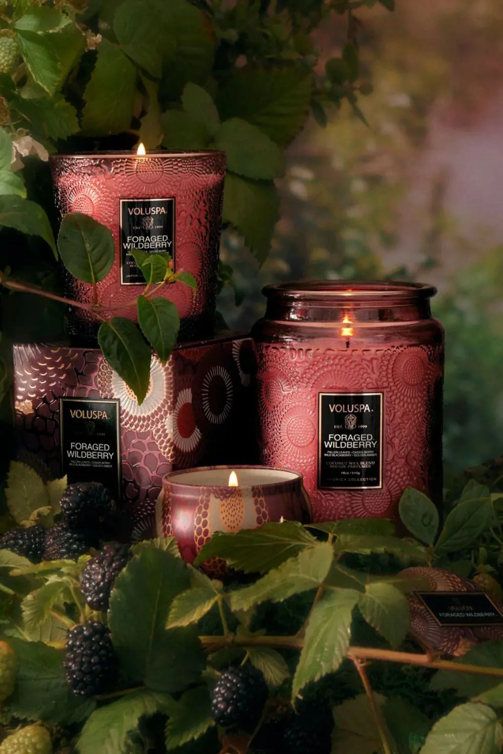 The Best Bookish Candles for Book Lovers 10 Perfect Book and Candle Pairings for a Cozy Reading Night - 10 - Cats & Coffee Voluspa's Foraged Wildberry Candle