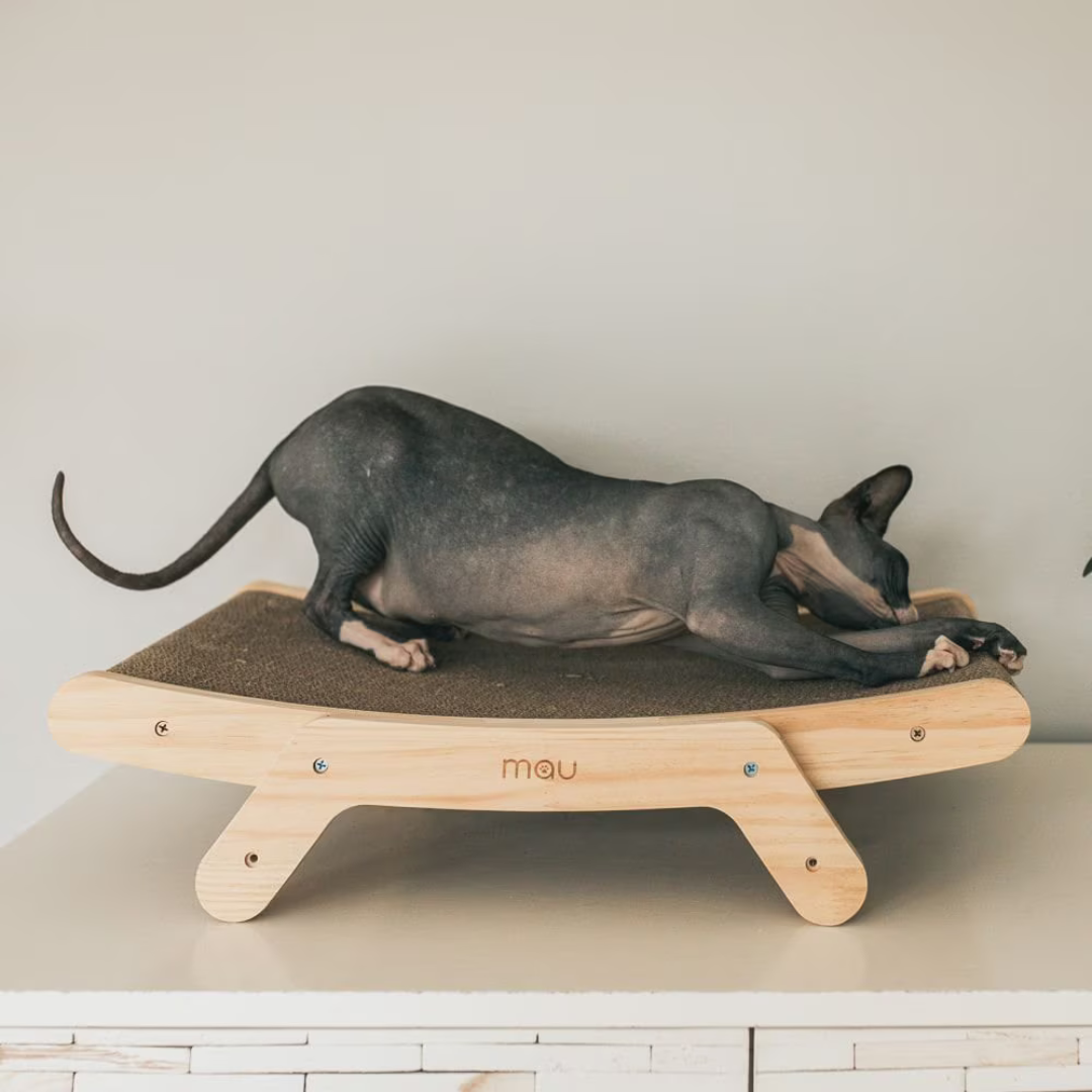 Cat Scratchers 2 - Cats & Coffee Mau Lifestyle Emory Cat Scratcher