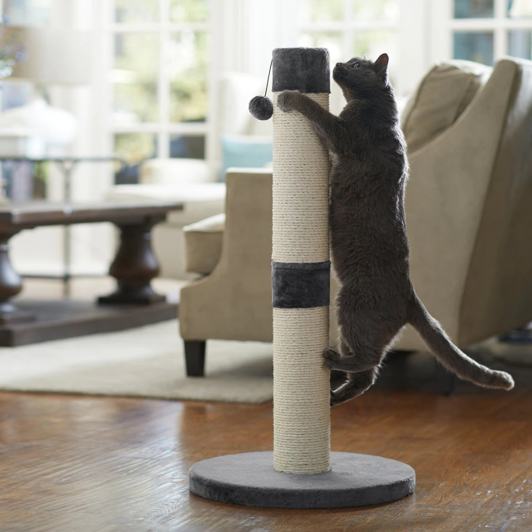 Cat Scratchers 3 - Cats & Coffee Frisco 35-In Heavy Duty Sisal Cat Scratcher
