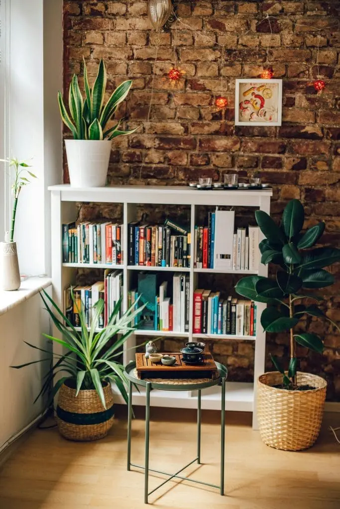 Home Library Room Inspiration - pexels-roman-odintsov-5975986-min - Cats & Coffee