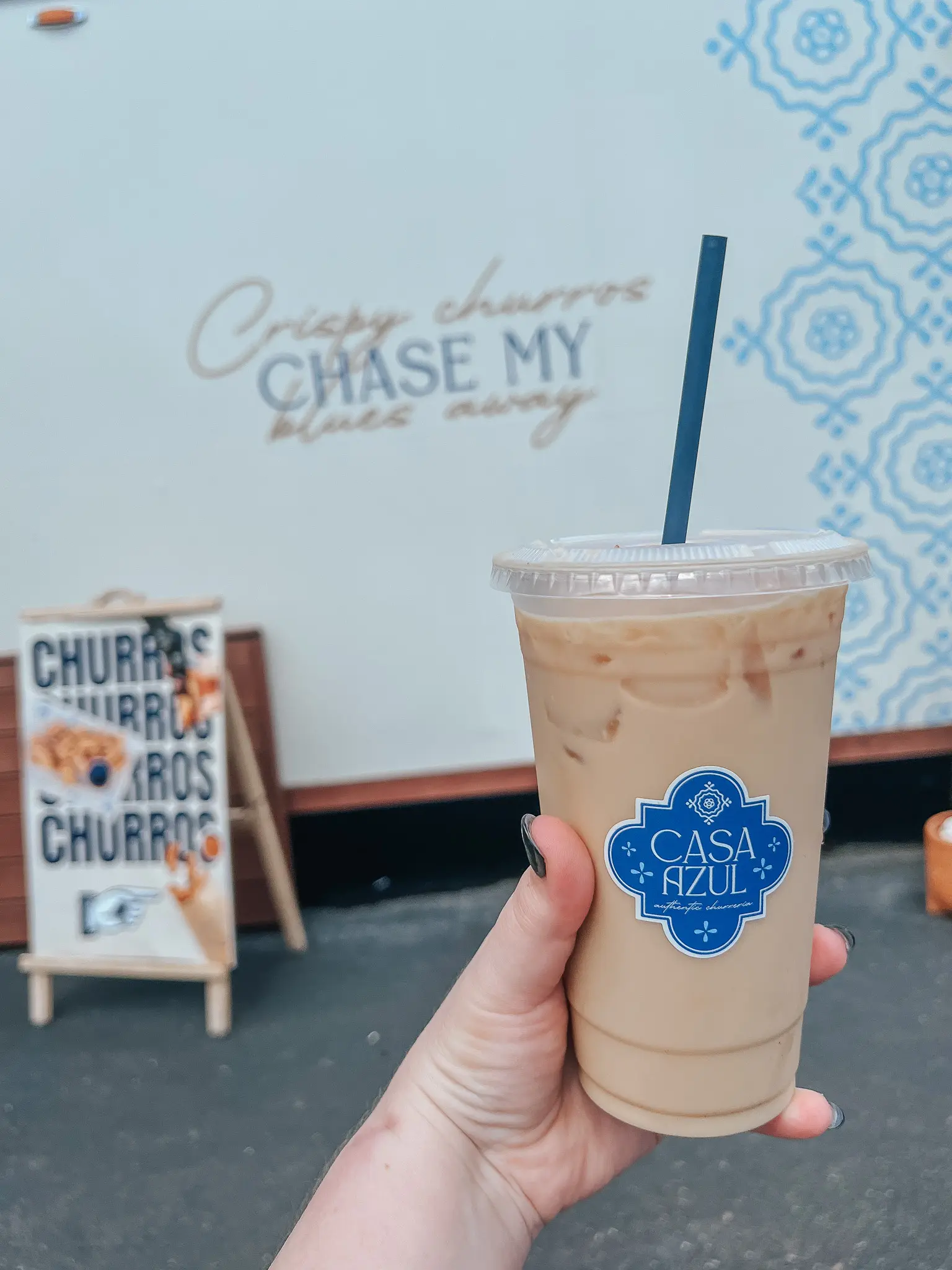Casa Azul South Tampa Coffee Shop 10 - Cats & Coffee Casa Azul South Tampa Coffee Shop