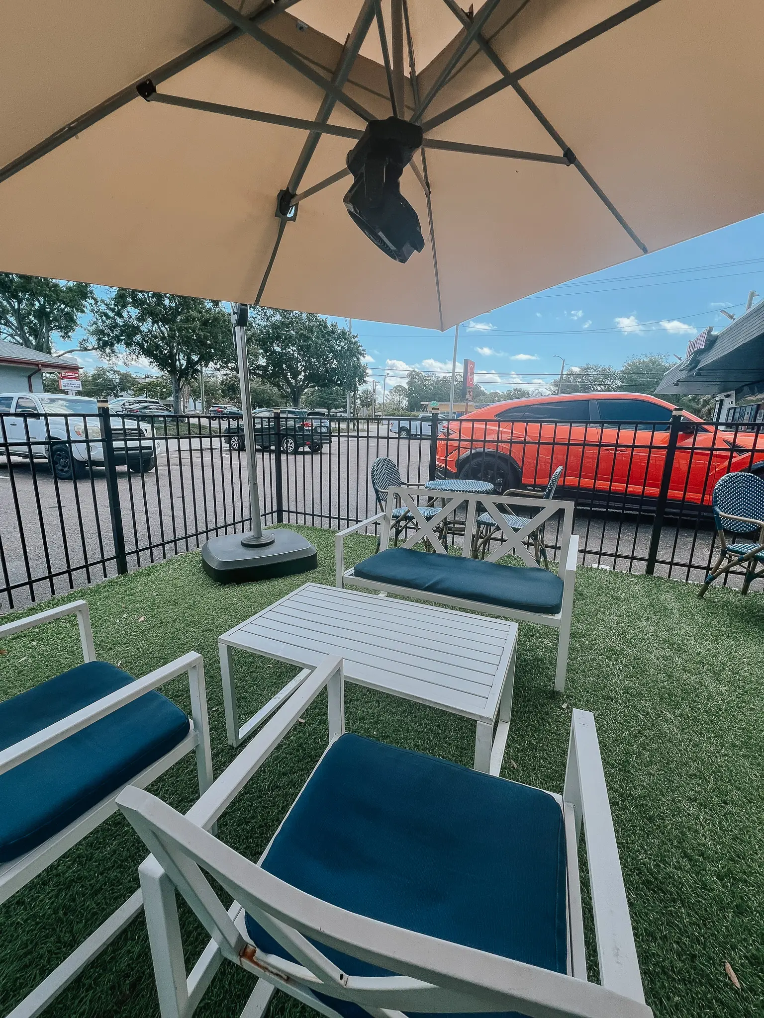 Casa Azul South Tampa Coffee Shop 2 - Cats & Coffee The patio at Casa Azul South Tampa Coffee Shop