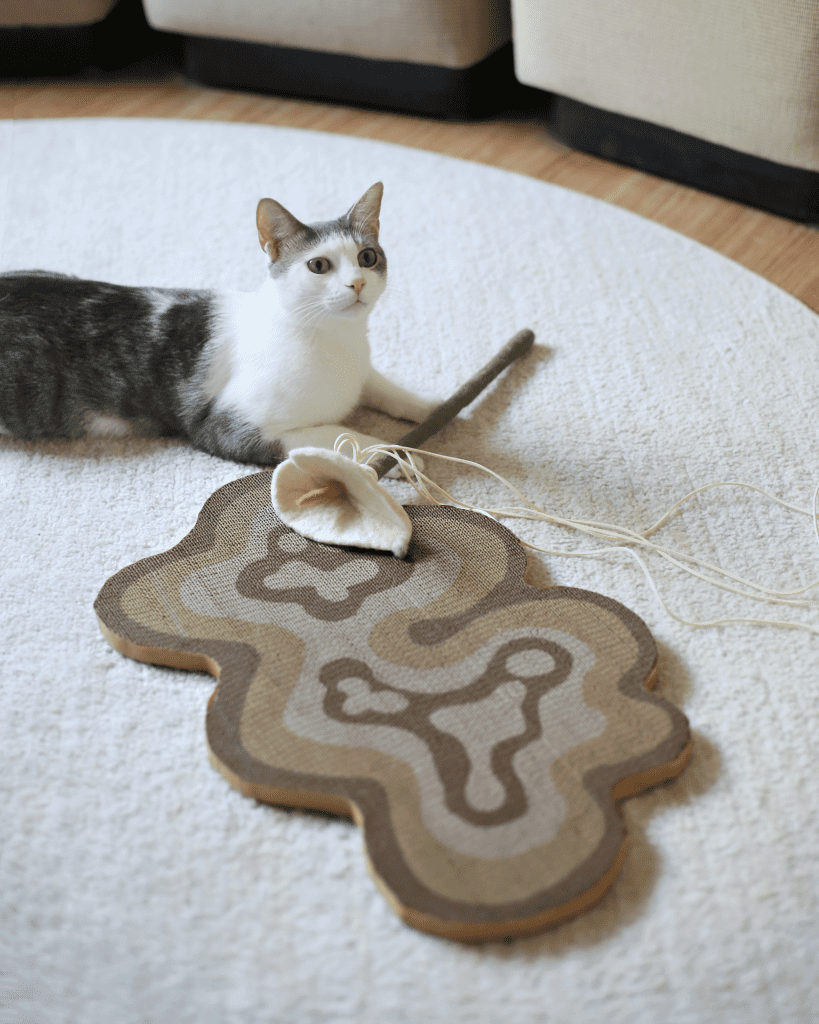 Catenary Scratcher Bloom-min - Cats & Coffee