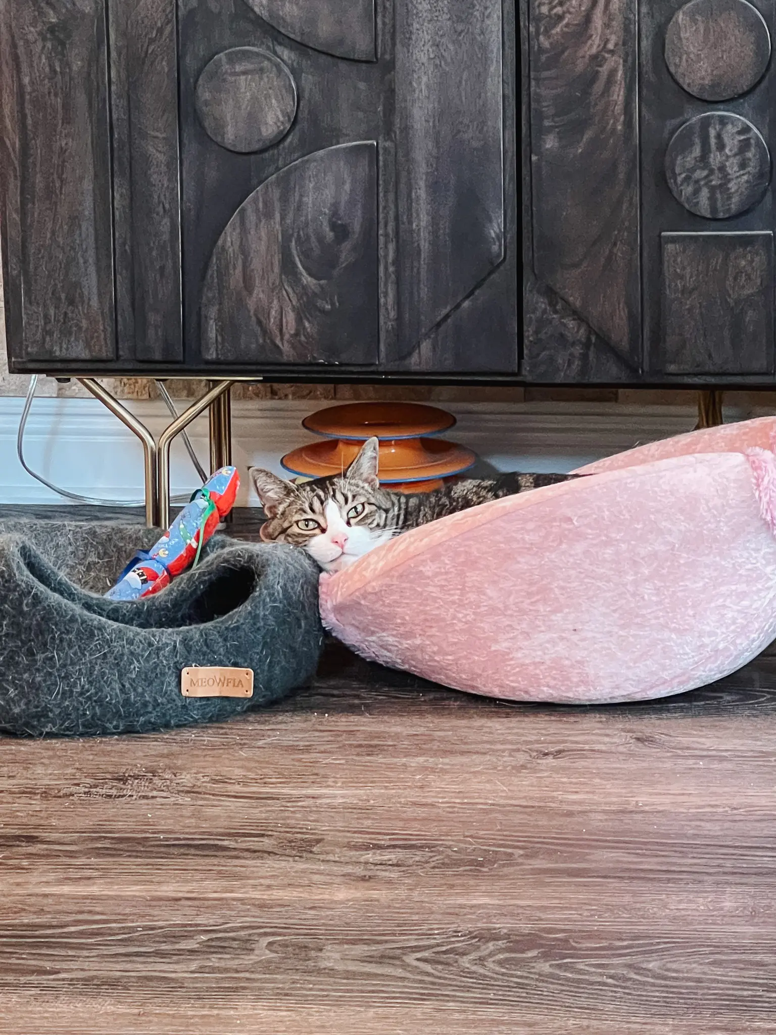 Unique Cat Furniture Stylish Cat Trees Scratching Posts Fancy Cat Furniture 5 - Cats & Coffee Cozy Cat Beds for Cats & Kittens