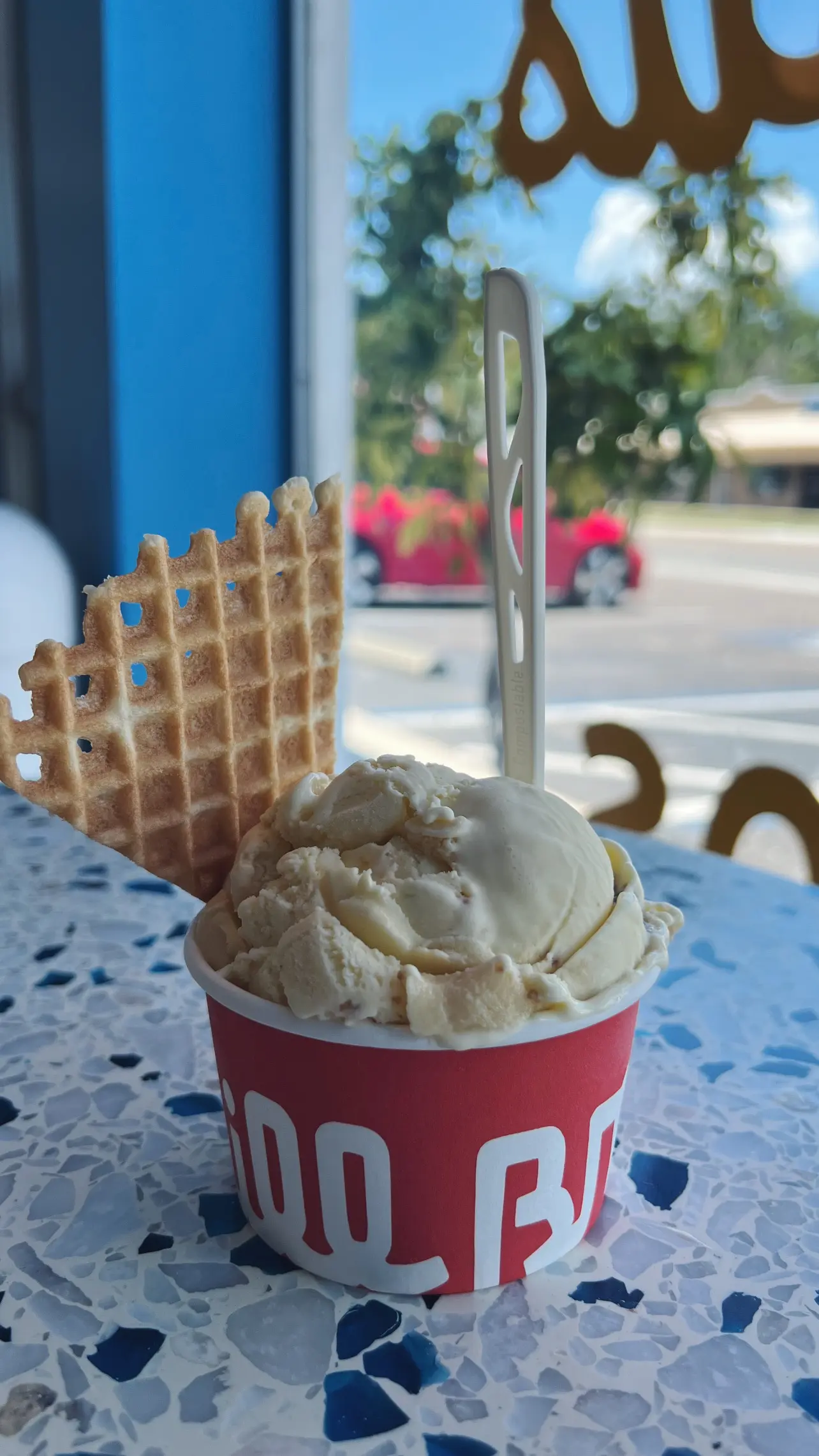Processed with VSCO with f2 preset - Cats & Coffee Chill Bros Ice Cream in Tampa, Florida