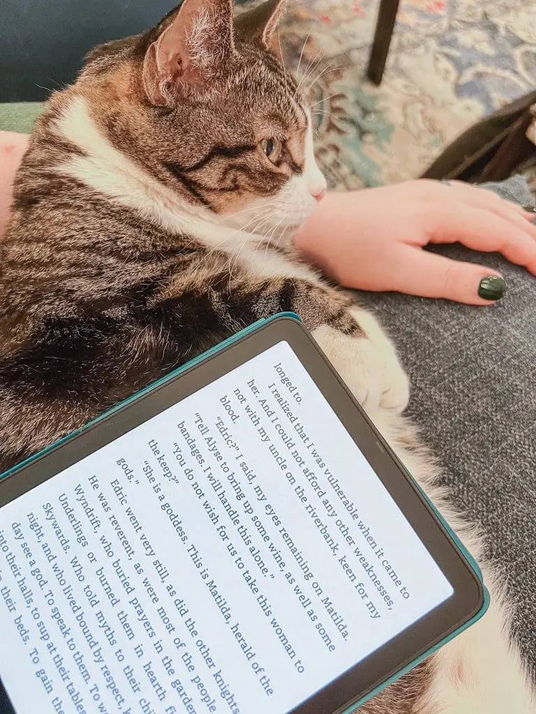 Kindle Colorsoft Review - 18 - Cats & Coffee Kindle Colorsoft Review