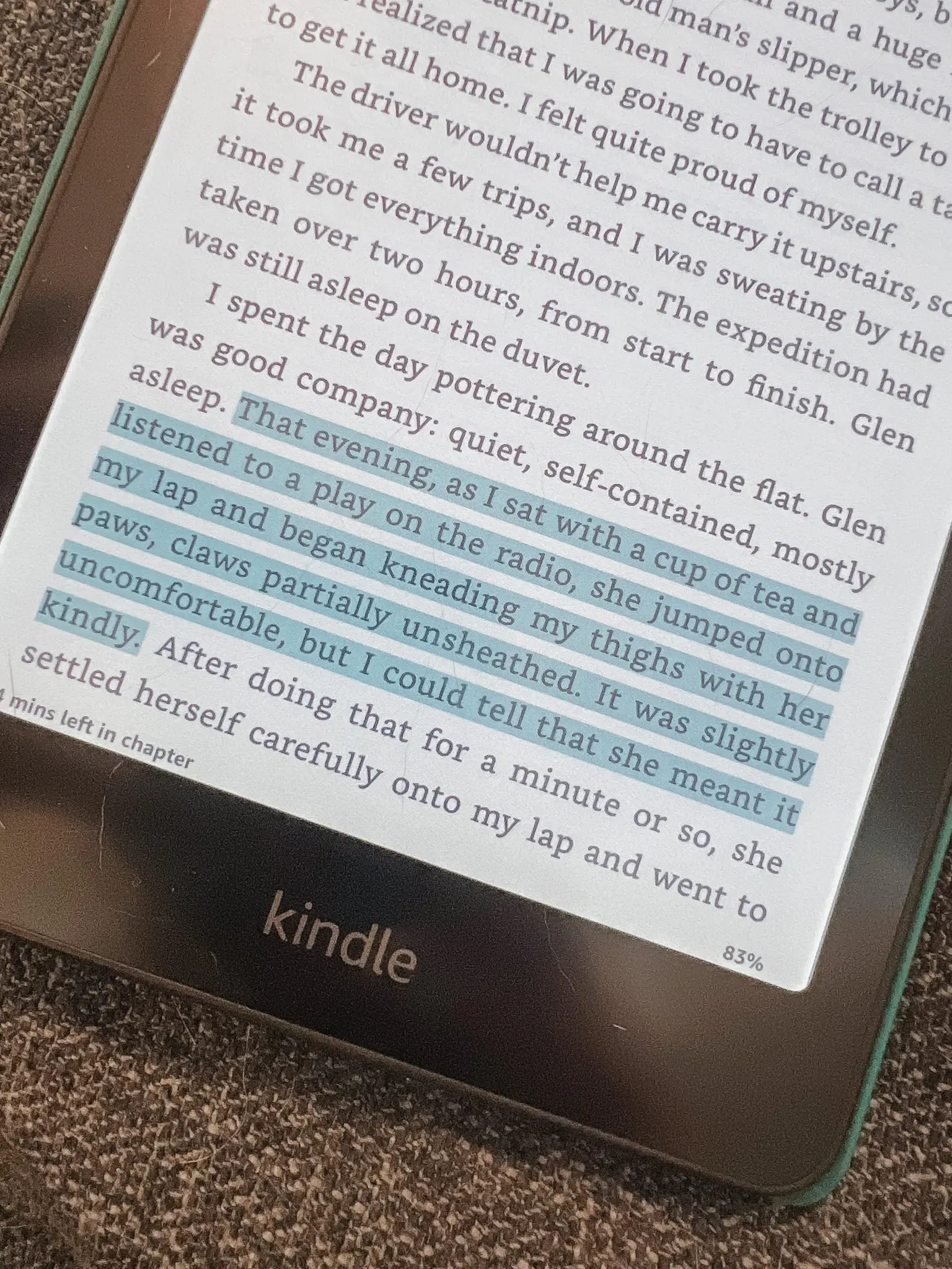 Kindle Colorsoft Review - 19 - Cats & Coffee Amazon Kindle Colorsoft