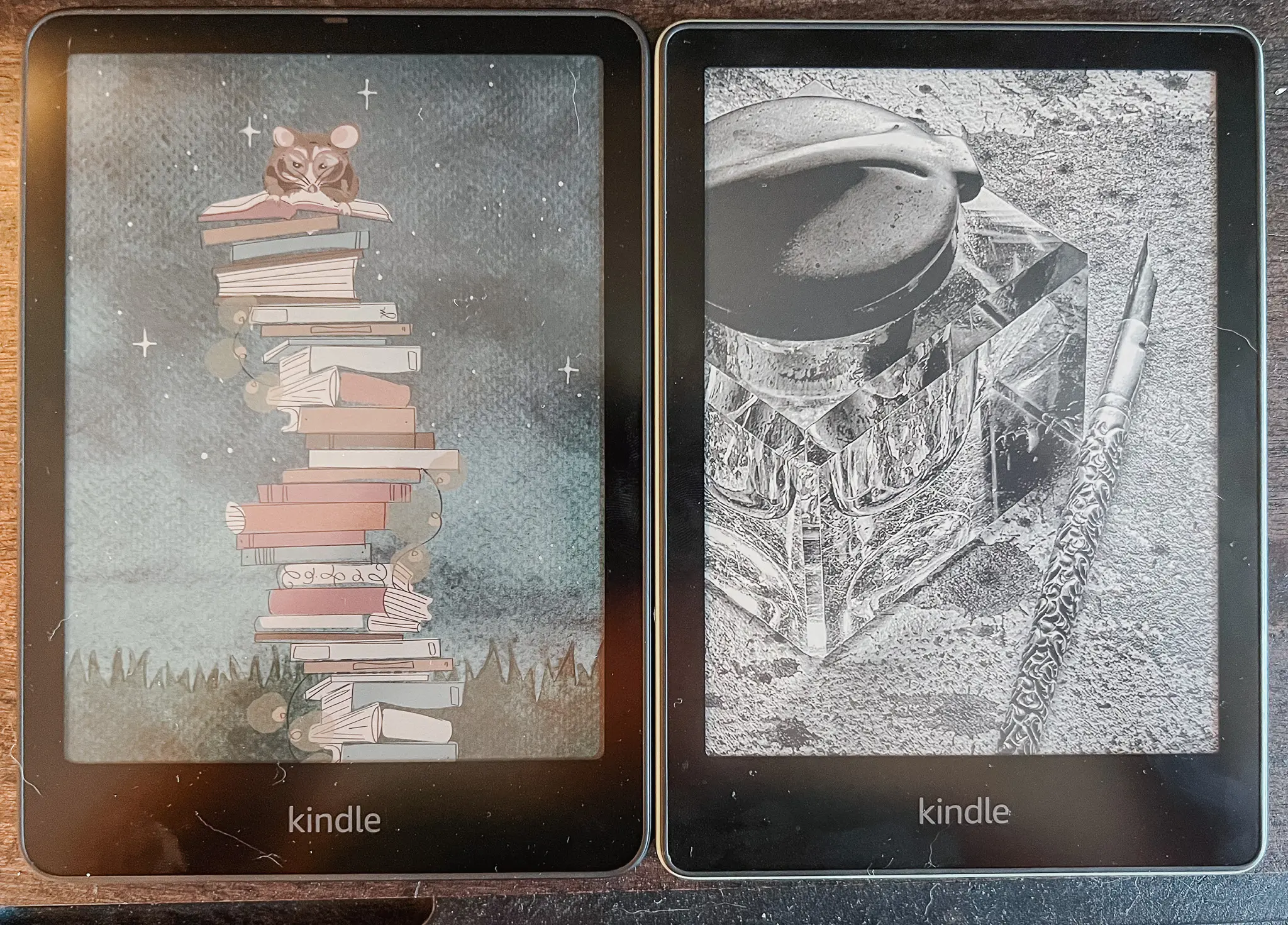 Kindle Colorsoft Review - 21 - Cats & Coffee Amazon Kindle Comparison: Colorsoft vs. Paperwhite
