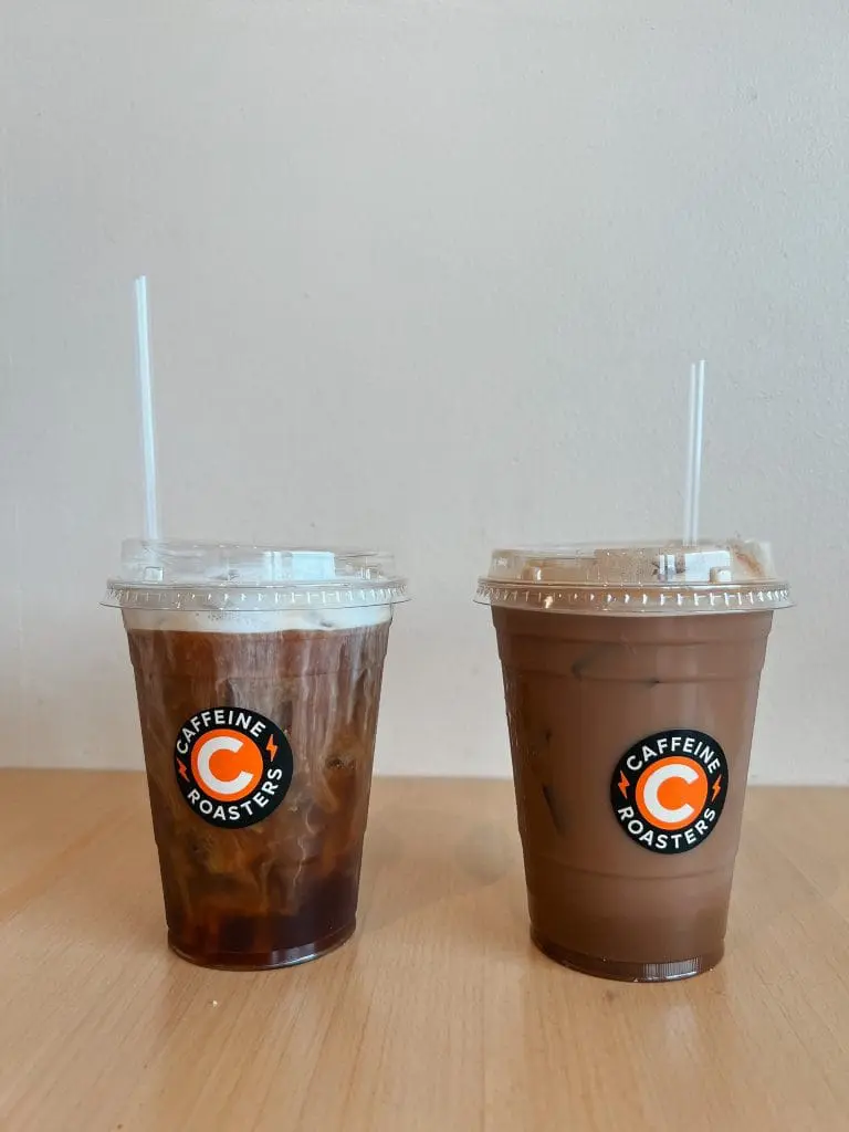 Caffeine Roasters 2 - Cats & Coffee Caffeine Roasters Coffee Shop in Tampa, Florida
