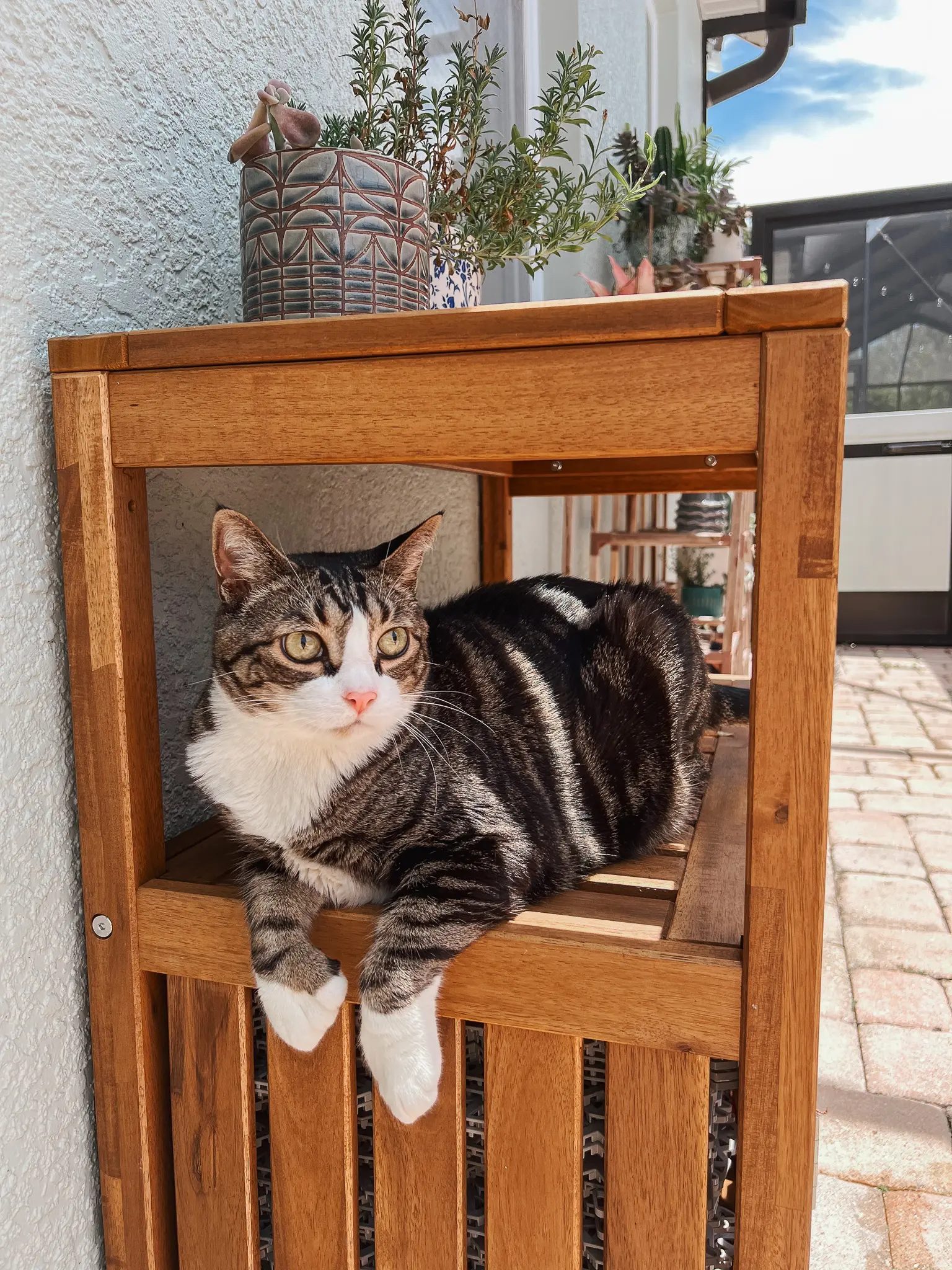 The Best Catio Ideas for Happy Safe Indoor Cats This Summer 17 - Cats & Coffee Shaded catio with outdoor furniture — lifestyle catio plans for summer