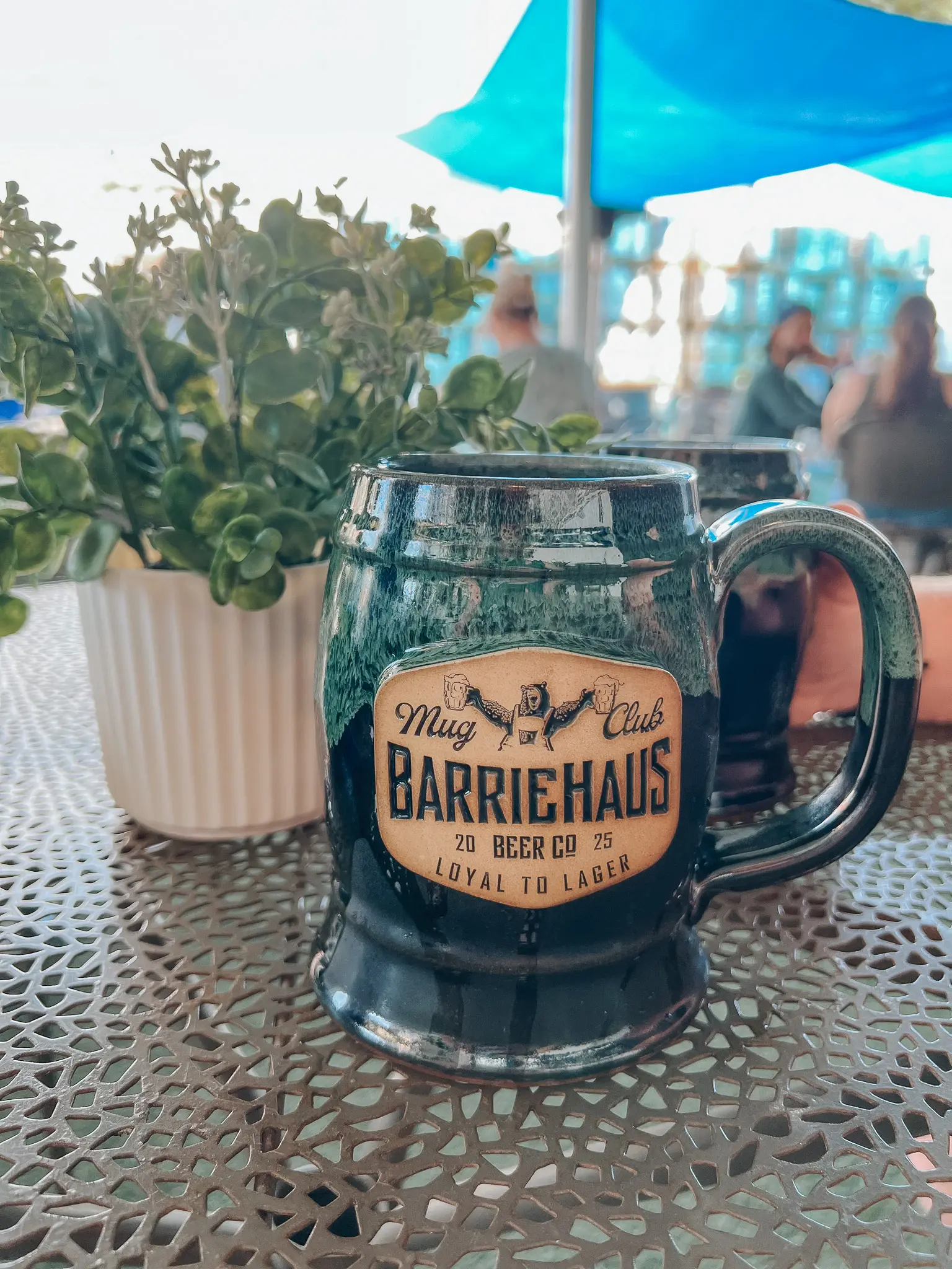 BarrieHaus Beer Garten - Cats & Coffee BarrieHaus Beer Co. Biergarten in Tampa - Ybor - Florida