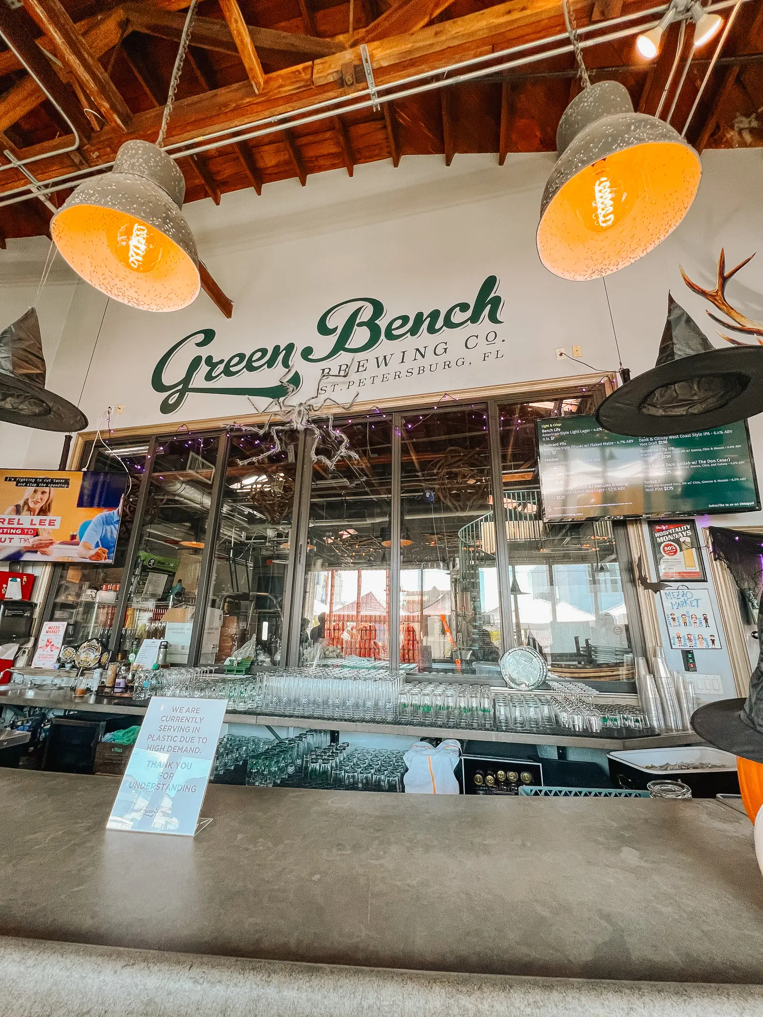 Green Bench Brewing Co 1 - Cats & Coffee Green Bench Brewing Co. in St. Pete, Florida