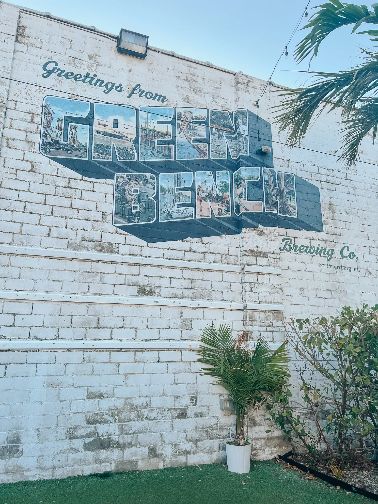 Green Bench Brewing Co 3 - Cats & Coffee Green Bench Brewing Co. in St. Pete, Florida