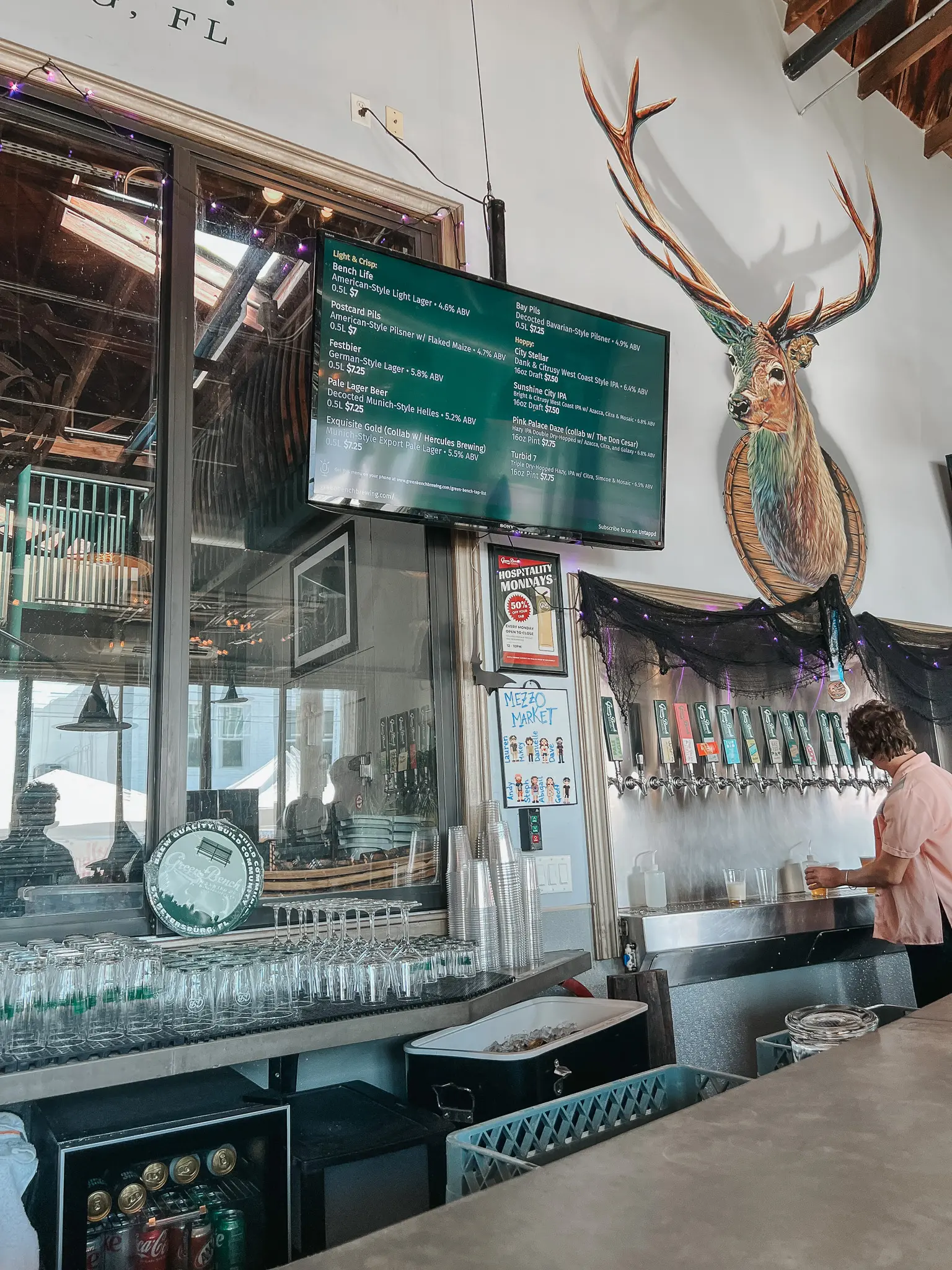 Green Bench Brewing Co 4 - Cats & Coffee Green Bench Brewing Co. in St. Pete, Florida