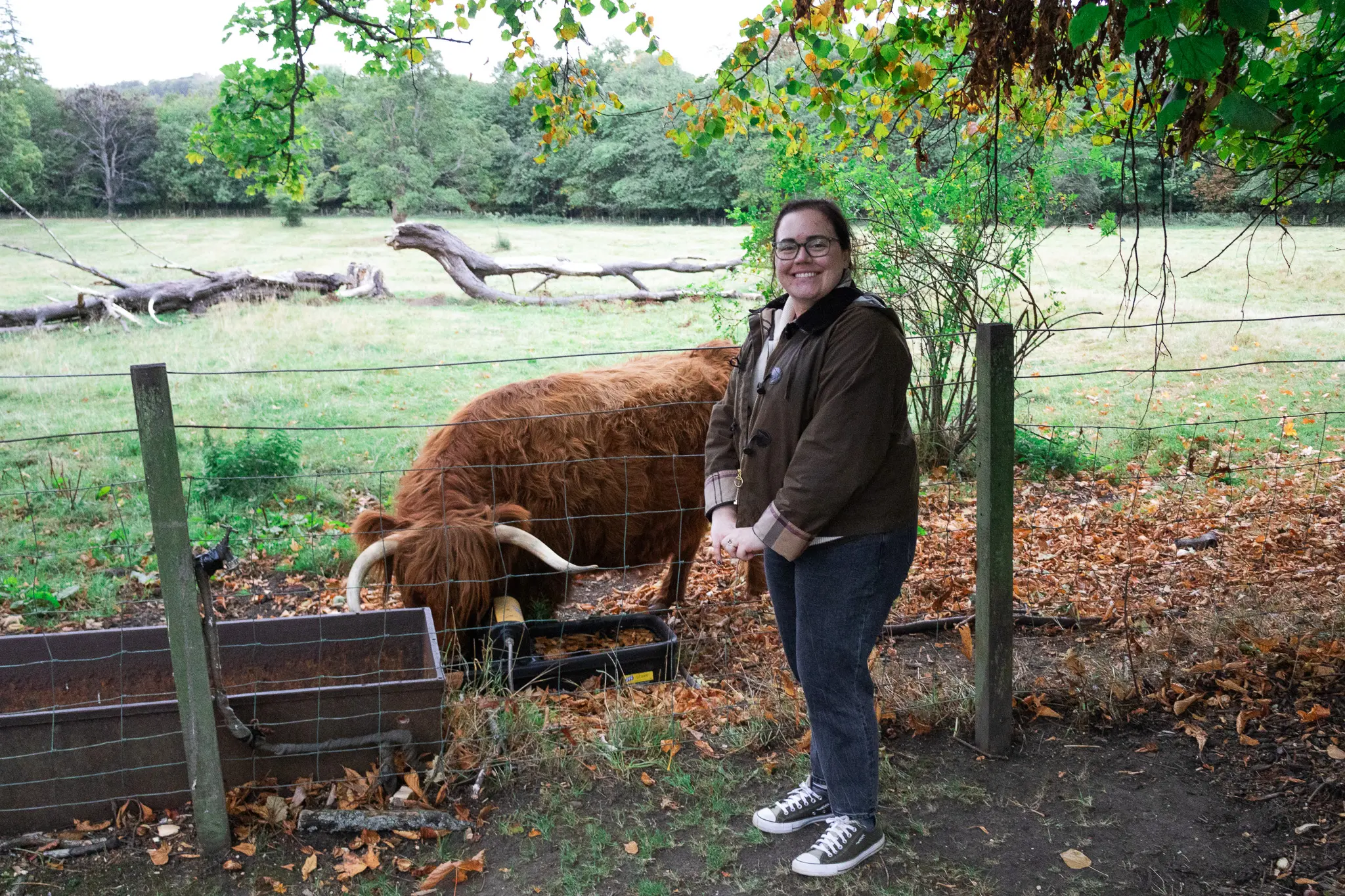 Scotland Honeymoon 31 - Cats & Coffee Highland cows at Prestonfieldhouse in Edinburgh Scotland