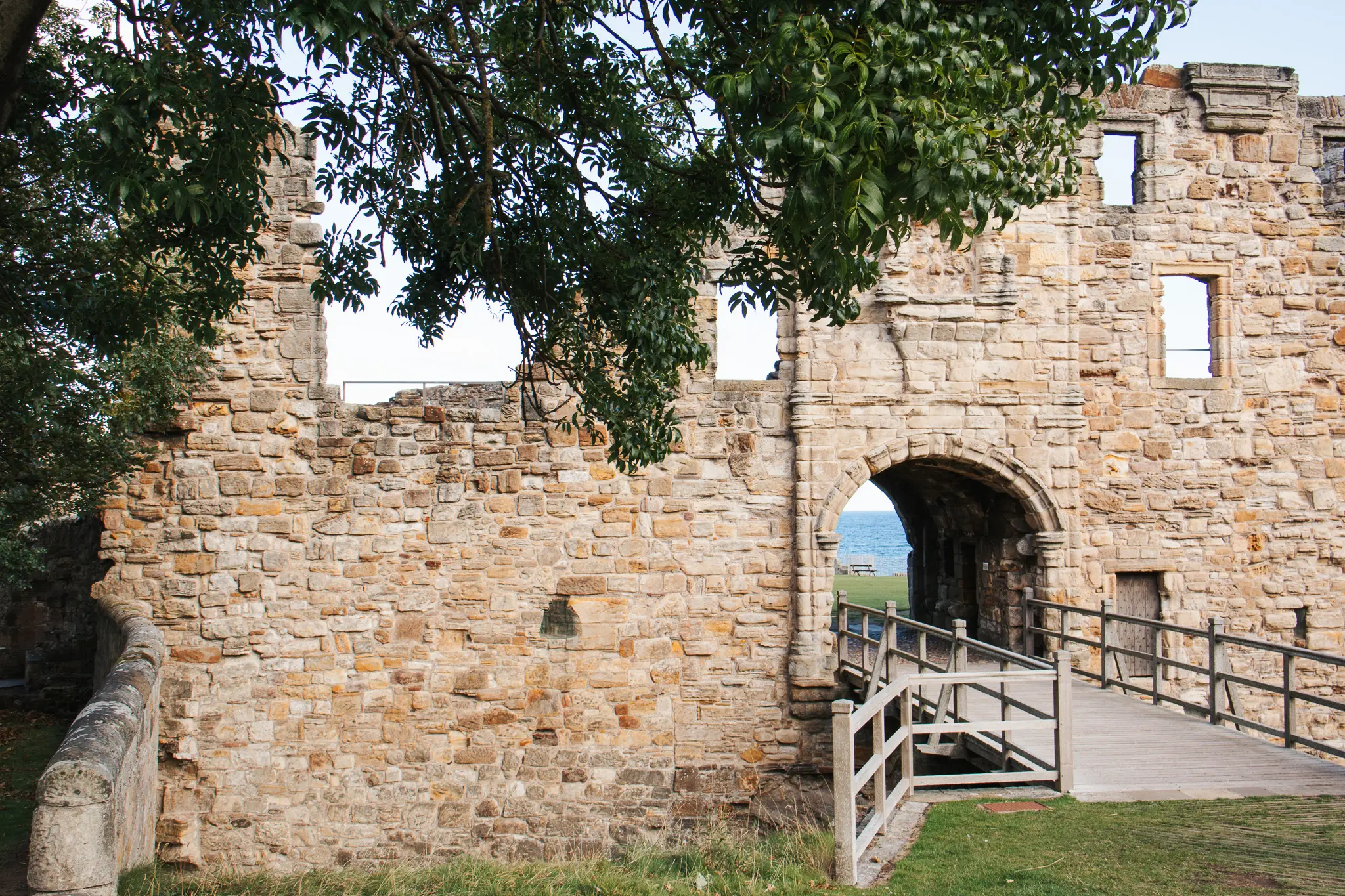 St Andrews Castle Cathedral 2 - Cats & Coffee