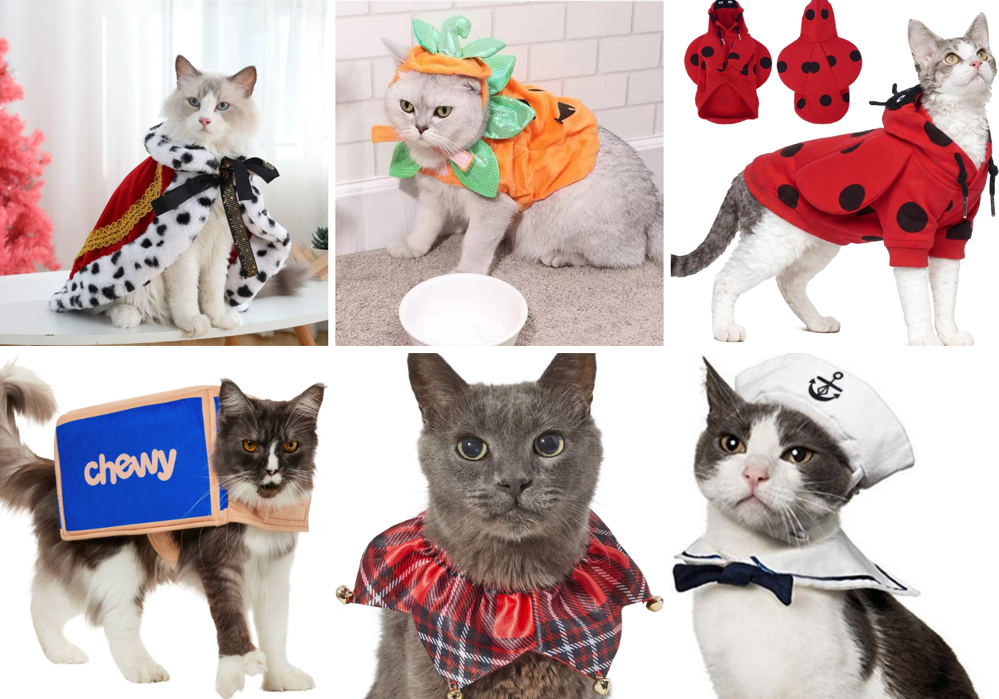 Great Pet Halloween Costumes - Cats & Coffee Collage of six dressed-up cats wearing costumes: a fluffy white cat in a royal cape, a gray cat in an orange carrot costume, a cat in a red ladybug hoodie, a cat with a blue Chewy prop on its back, a gray cat in a red plaid cape with bells, and a black-and-white cat in a sailor outfit.