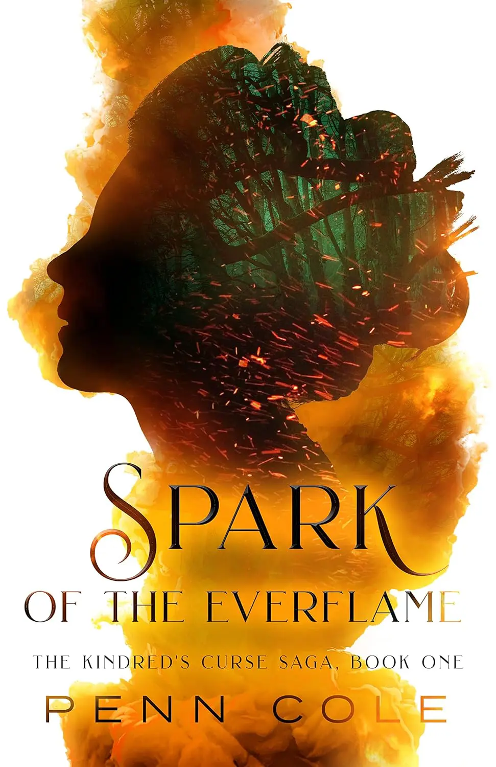 Spark of the Everflame Book 1 Penn Cole - Cats & Coffee The Kindred's Curse Saga: Books 1 - 3 by Penn Cole