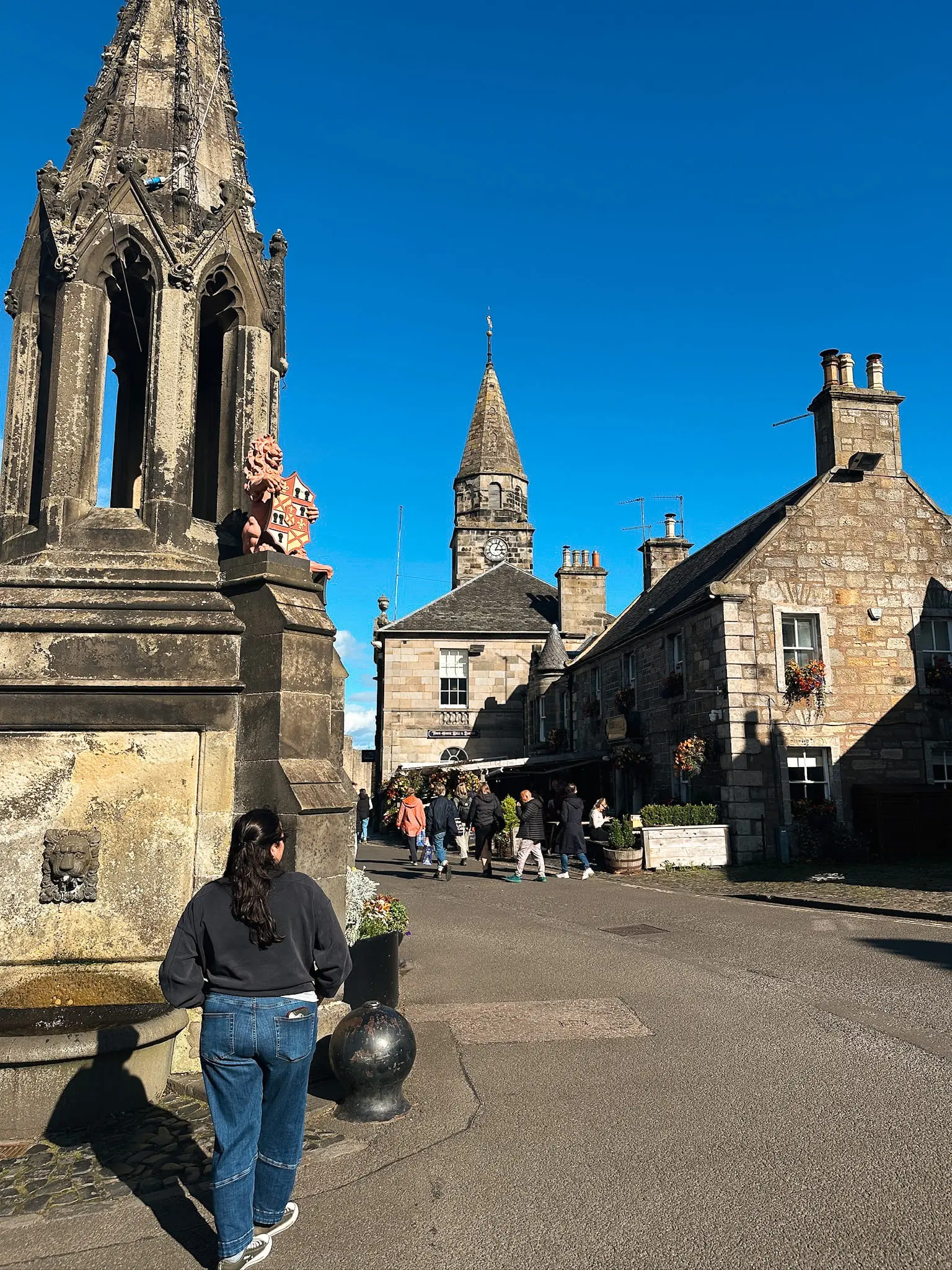 Falkland Village 4 - Cats & Coffee