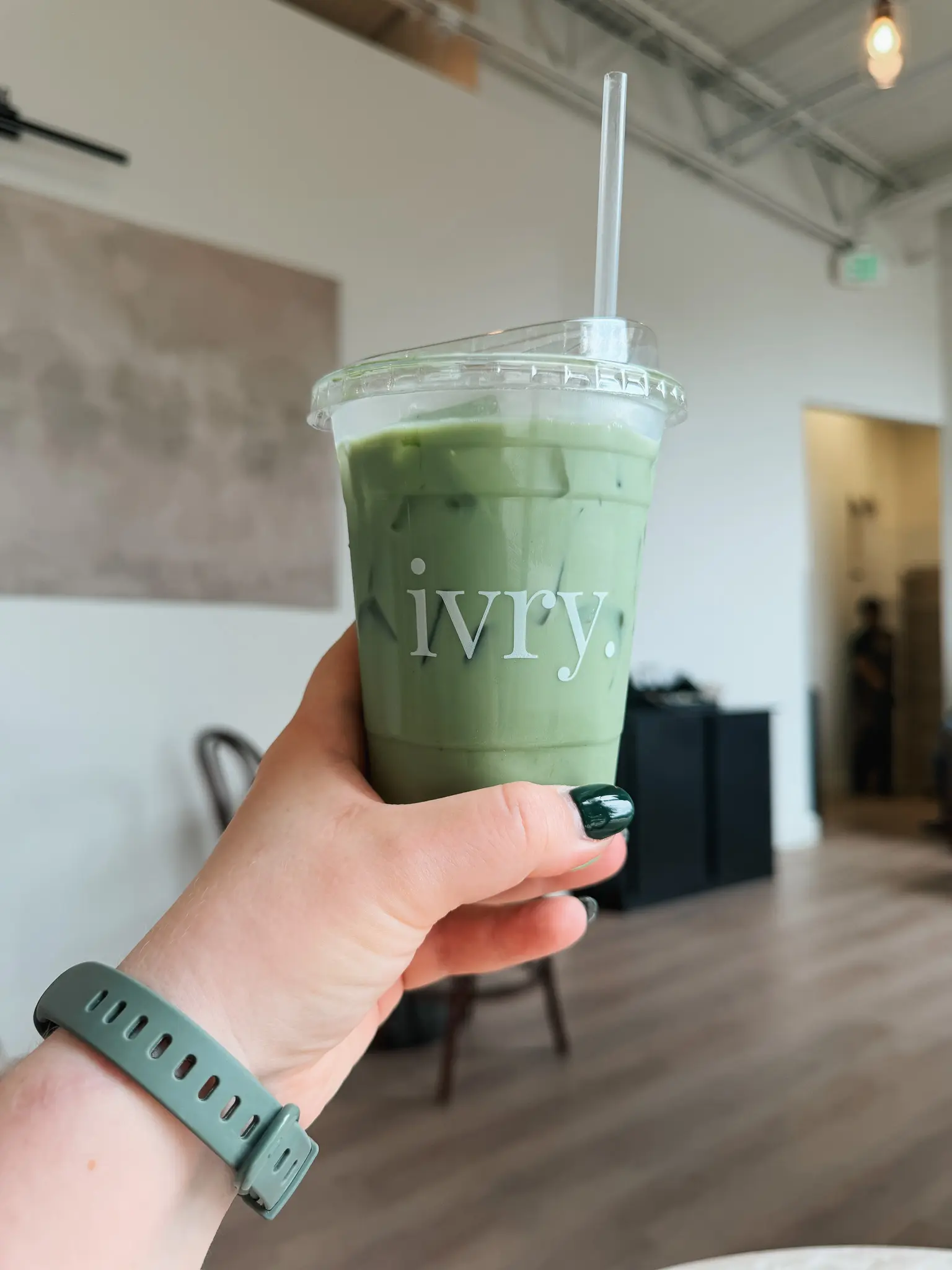 The Best Tampa Coffee Shops 2 - Cats & Coffee The Best Tampa Coffee Shops - Ivry