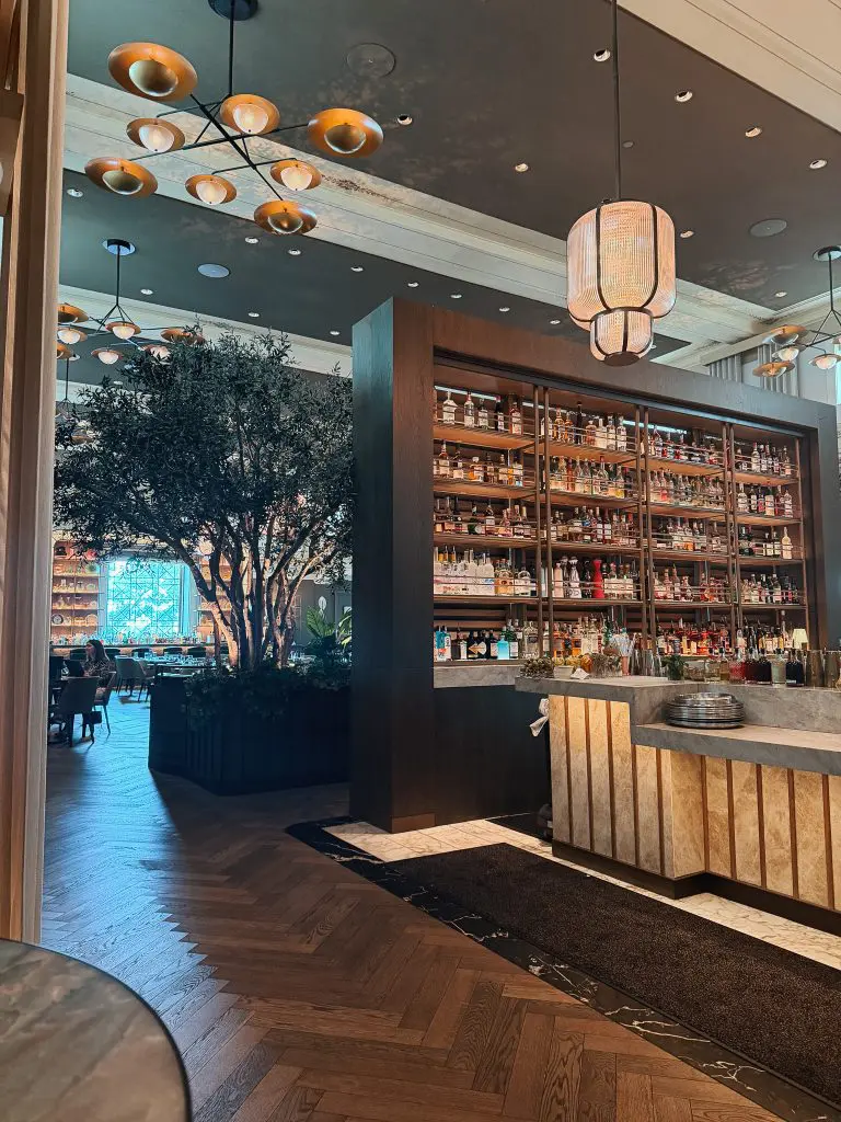 The Vinoy St Pete - Where to Stay in Tampa Bay - 5 - Cats & Coffee Elegant bar interior with a tall wooden bottle shelf, warm hanging lantern, and a large indoor tree planter near seating area.