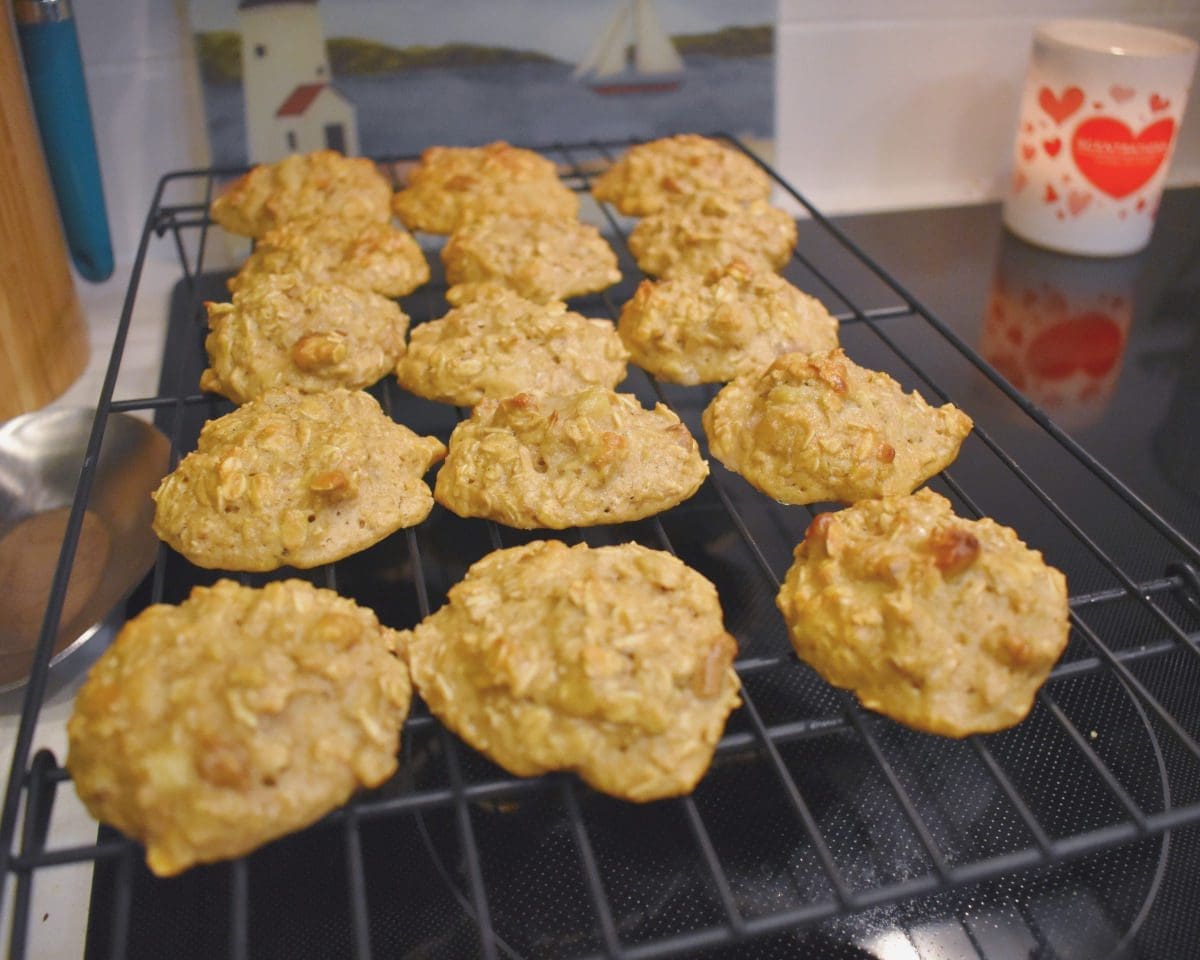 Homemade oatmeal protein cookies.