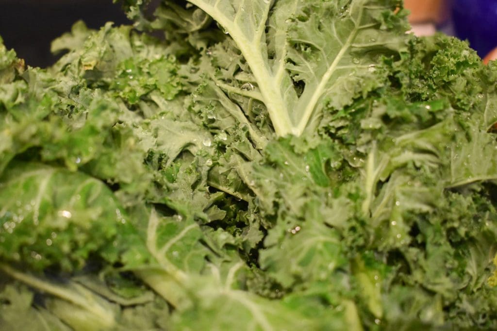 Raw kale - an option for vegetable-based plant based protein