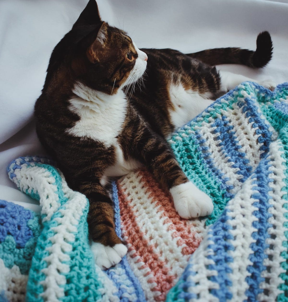 Crochet Blanket from Critter Crafting
