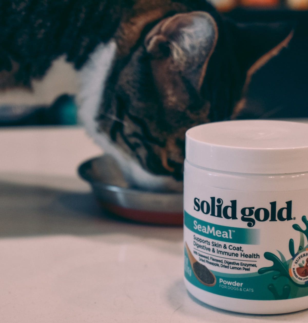 Solid Gold SeaMeal Supplement