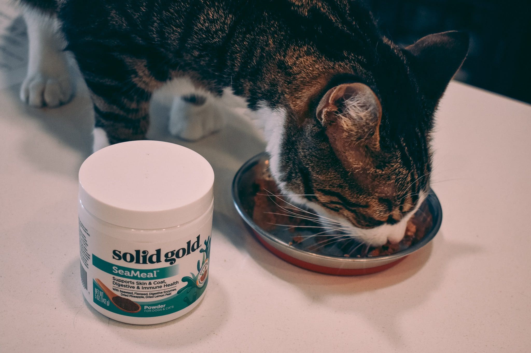 Solid Gold SeaMeal Digestive & Immune Health Supplement for Pets