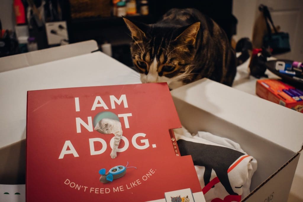 Royal Canin's Take Your Cat to the Vet Campaign