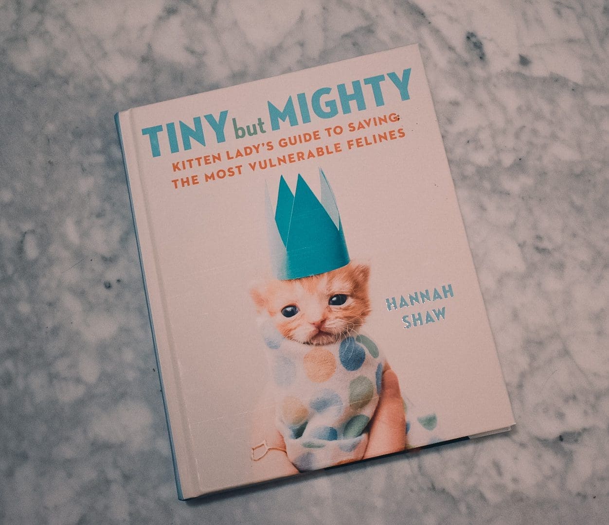 Kitten Lady Hannah Shaw On 'Tiny But Mighty,' Her Guide To At-Risk Cat Care  : NPR