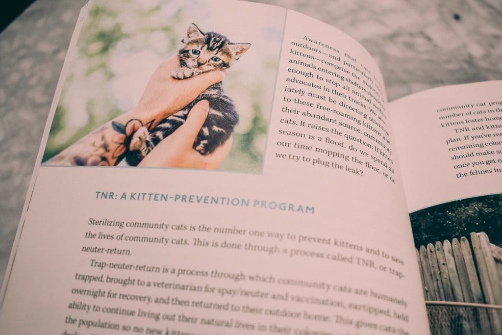 Tiny But Mighty: Kitten Lady's Guide to Saving the Most Vulnerable Felines Hardcover – photo by Christine Csencsitz